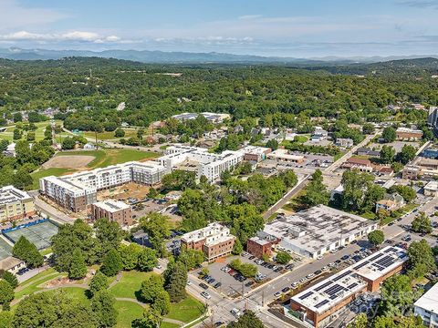 53 S French Broad Avenue 101 Asheville NC 28801