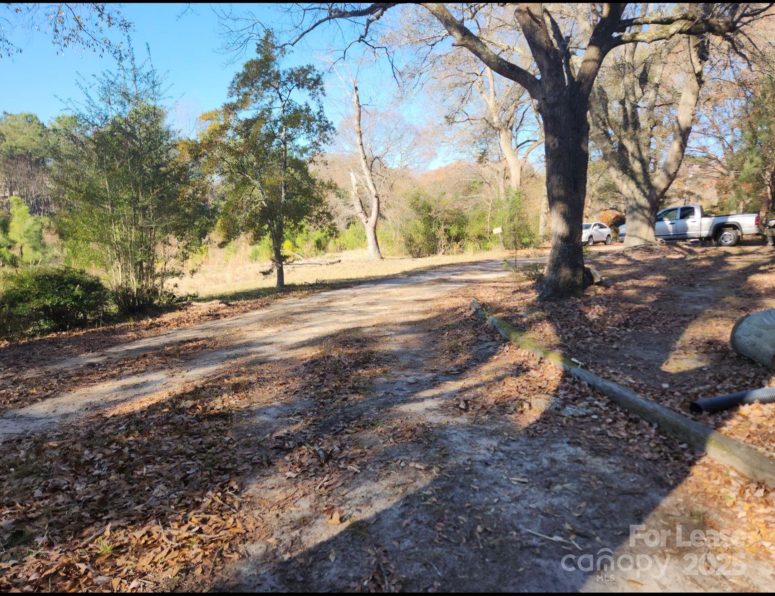 None - Residential Lease