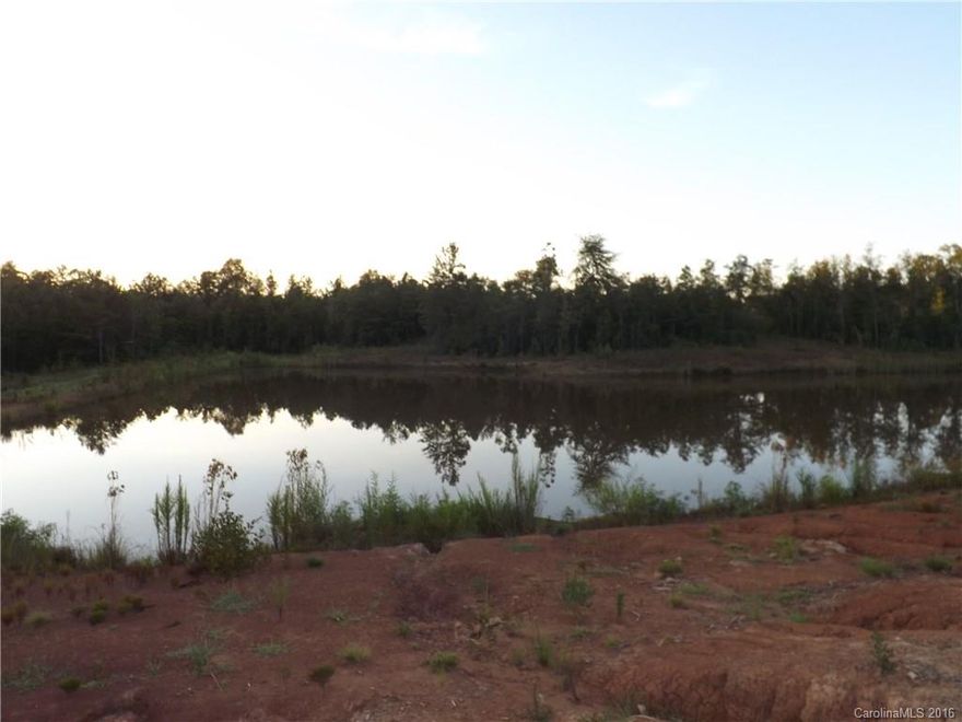 Secluded acreage in northeastern Anson County. Property has a 1 1/2 acre pond. Perfect weekend retreat to camp out or build a cabin. Great  for hunting, fishing and riding horses and ATVs. Cable is across driveway.