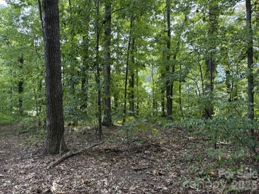 809 2ND ST SE, CONOVER, NC 28613 - Image d0e93e439362e8bbe0e4b4b3108a229c/3155306068