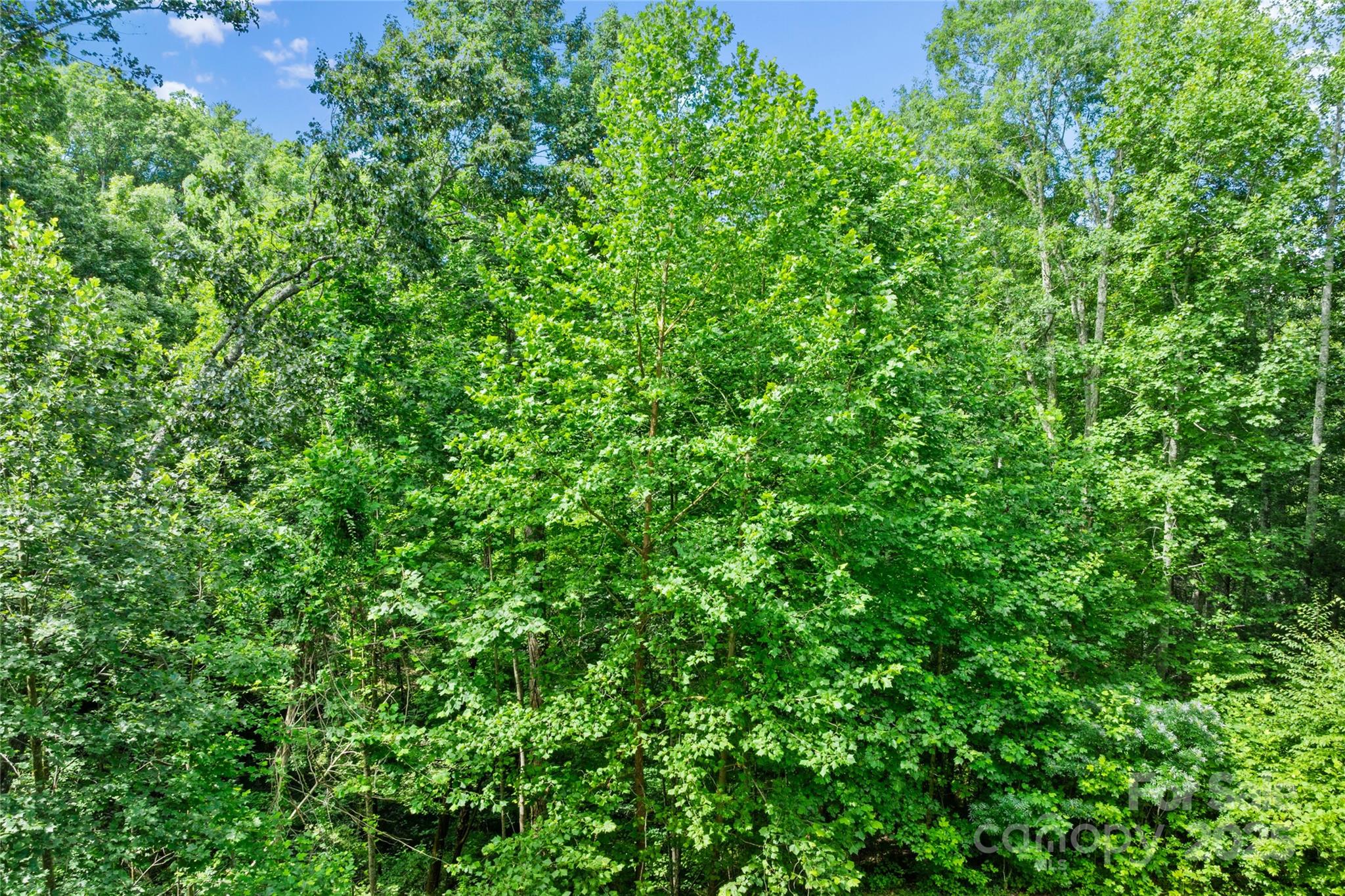 Bear River Lodge - Land