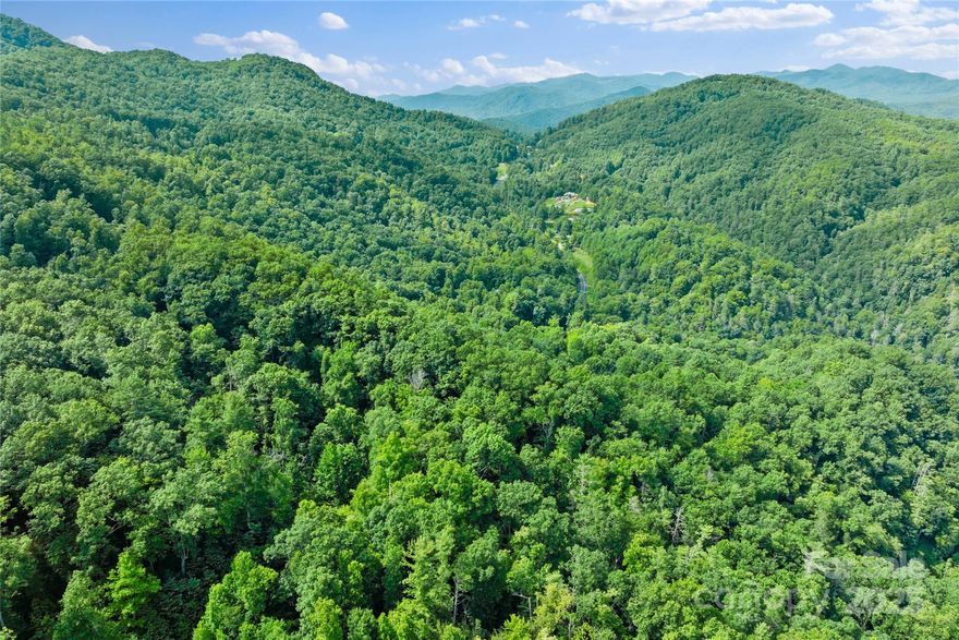 Secluded 2-Acre Lot in Gated Bear River Lodge.  Bear River Lodge a 320-acre, gated mountain community in Madison County, just five miles from the vibrant town of Hot Springs, NC. Tucked into the Pisgah National Forest
and bordered by the pristine Big Laurel Creek, this tranquil neighborhood offers pet-friendly
walkable roads and a true connection to nature. Lot 132 is a 2.0-acre tract located on a quiet cul-de-sac in the southeast corner of the community. Surrounded by wilderness, this lot provides total seclusion and a perfect canvas for your dream mountain retreat. Build your home in harmony with the landscape and enjoy the
peace and privacy of nature in every direction. As a resident, enjoy access to the community lodge — ideal for reading, relaxing, or hosting gatherings — as well as fishing, hiking, and more right outside your door. With a motivated seller and limitless potential, this is your chance to own a private slice of Blue Ridge paradise.
All offers welcome!