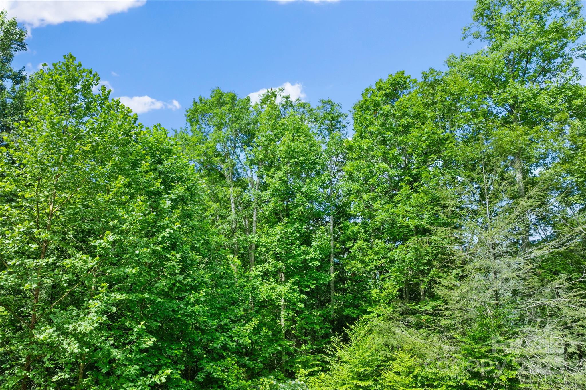 Bear River Lodge - Land