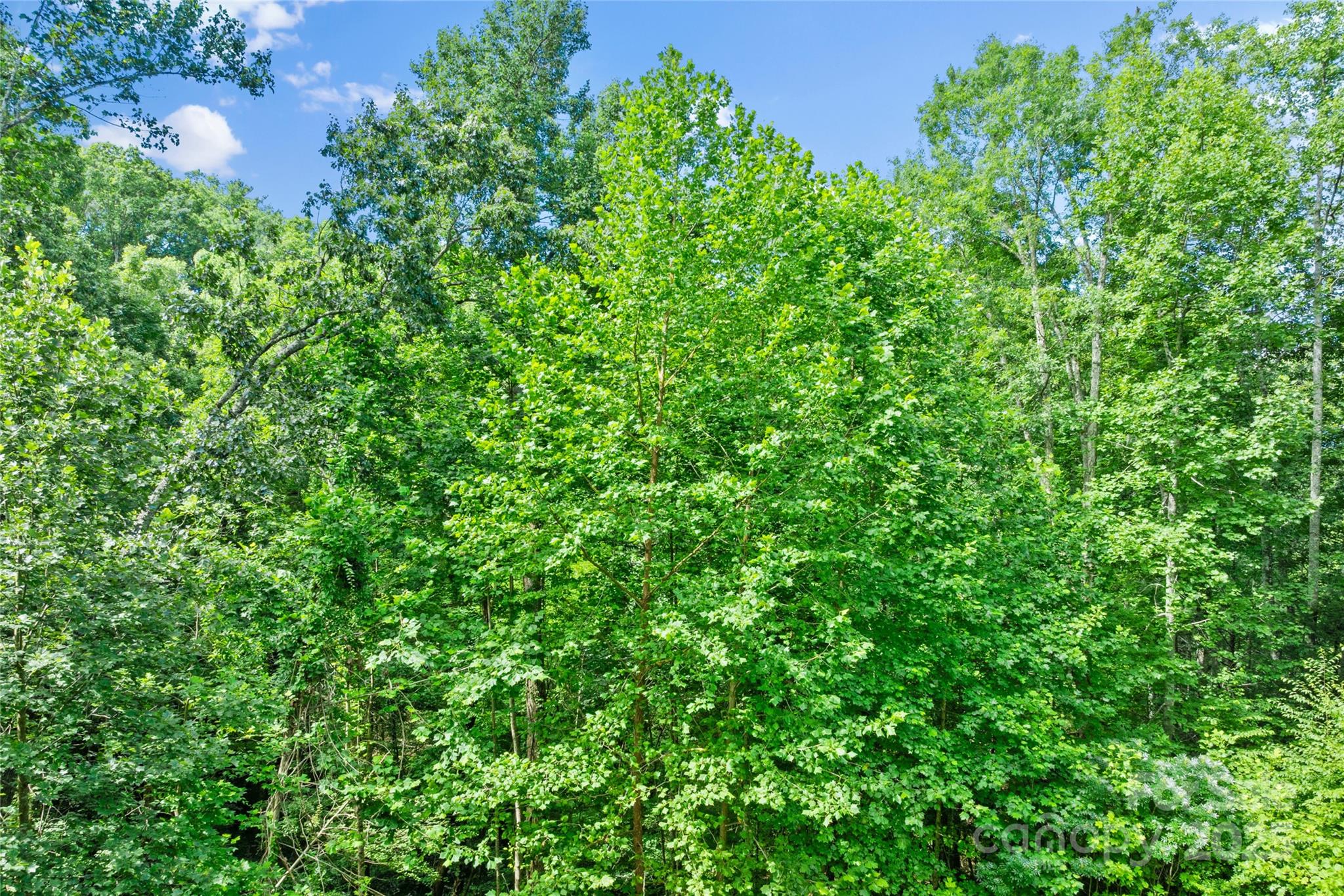 Bear River Lodge - Land