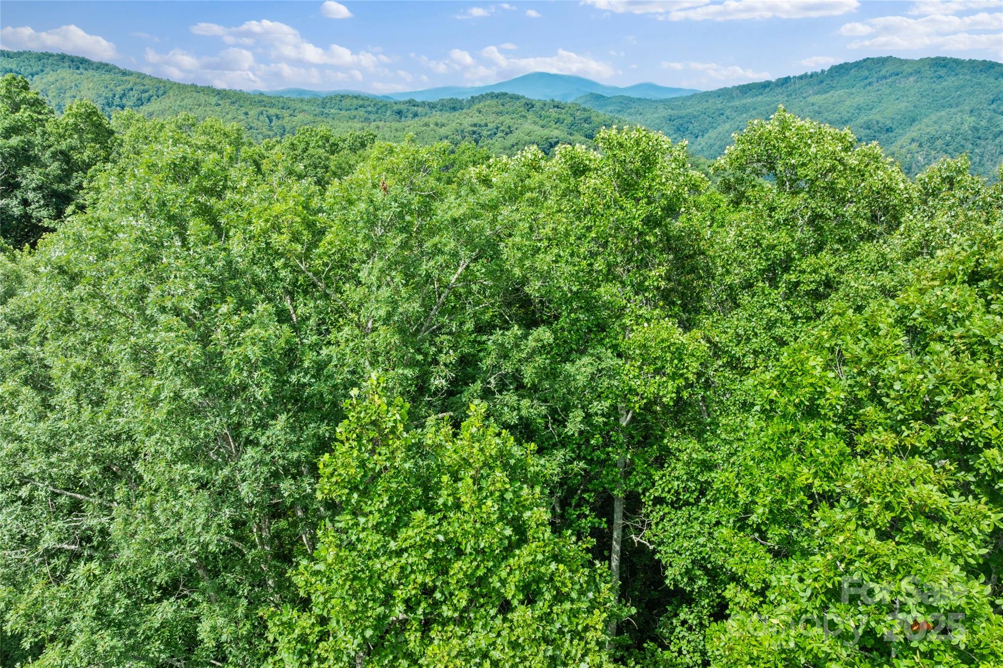 Bear River Lodge - Land