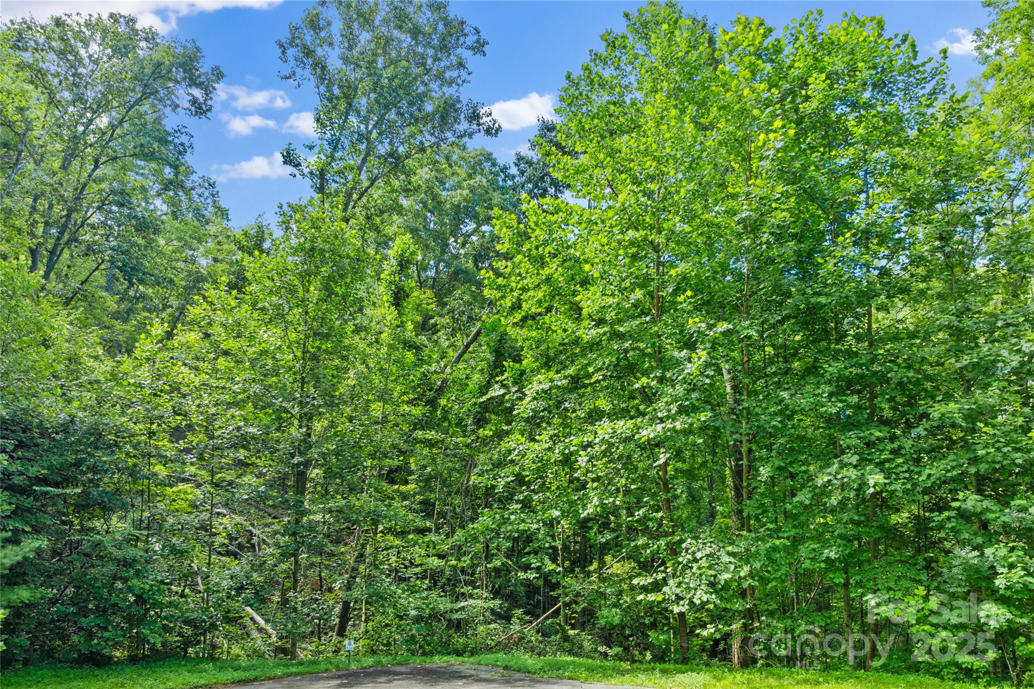 Bear River Lodge - Land