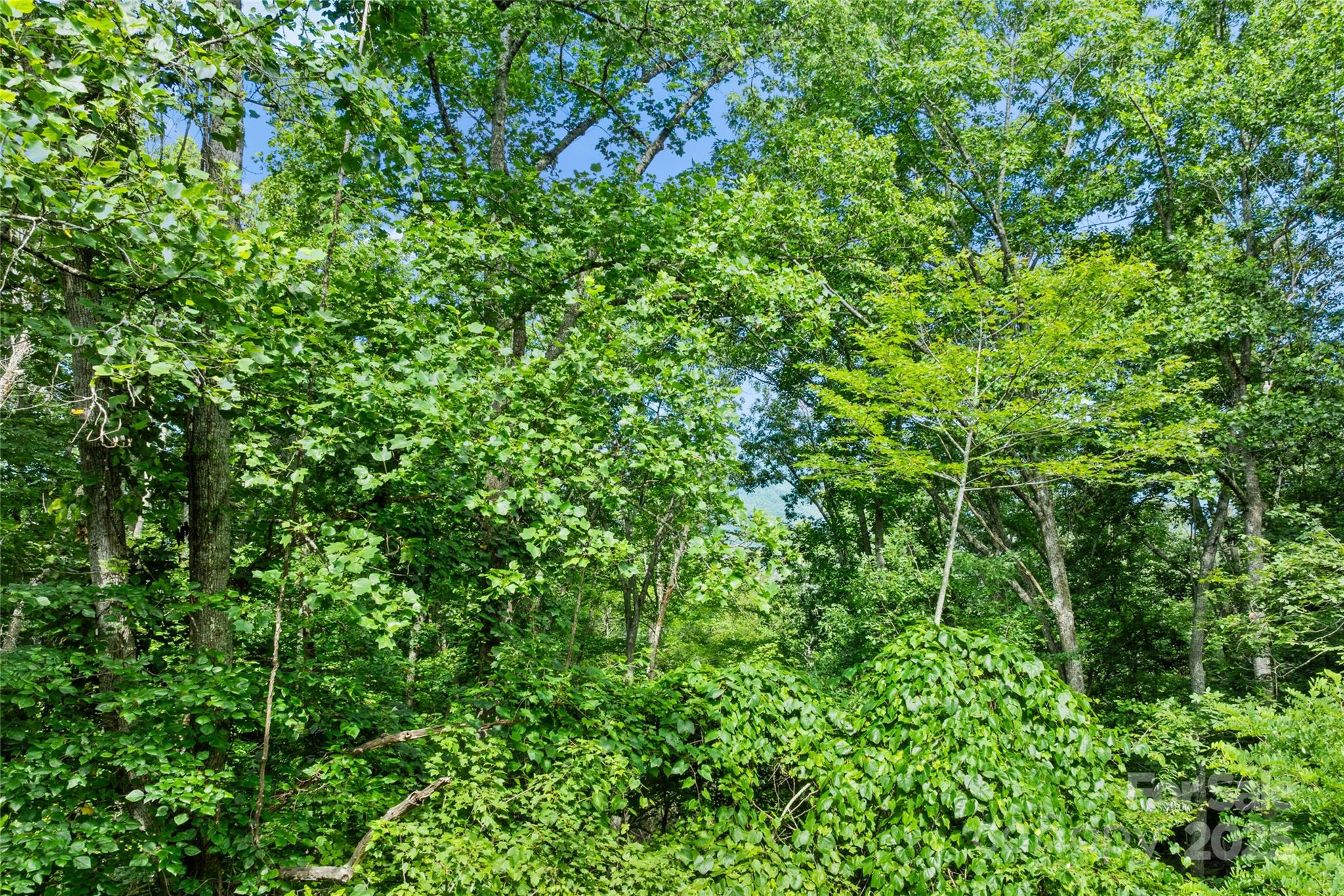 Bear River Lodge - Land