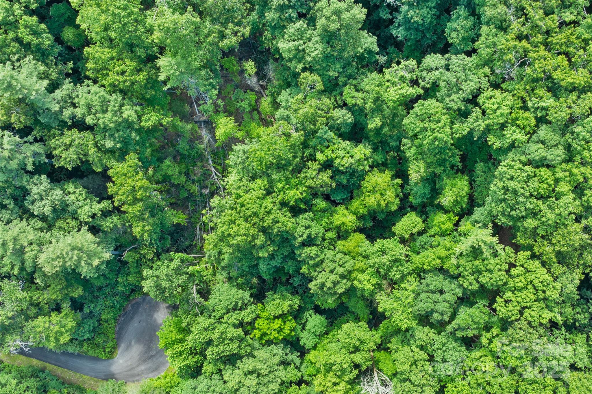 Bear River Lodge - Land