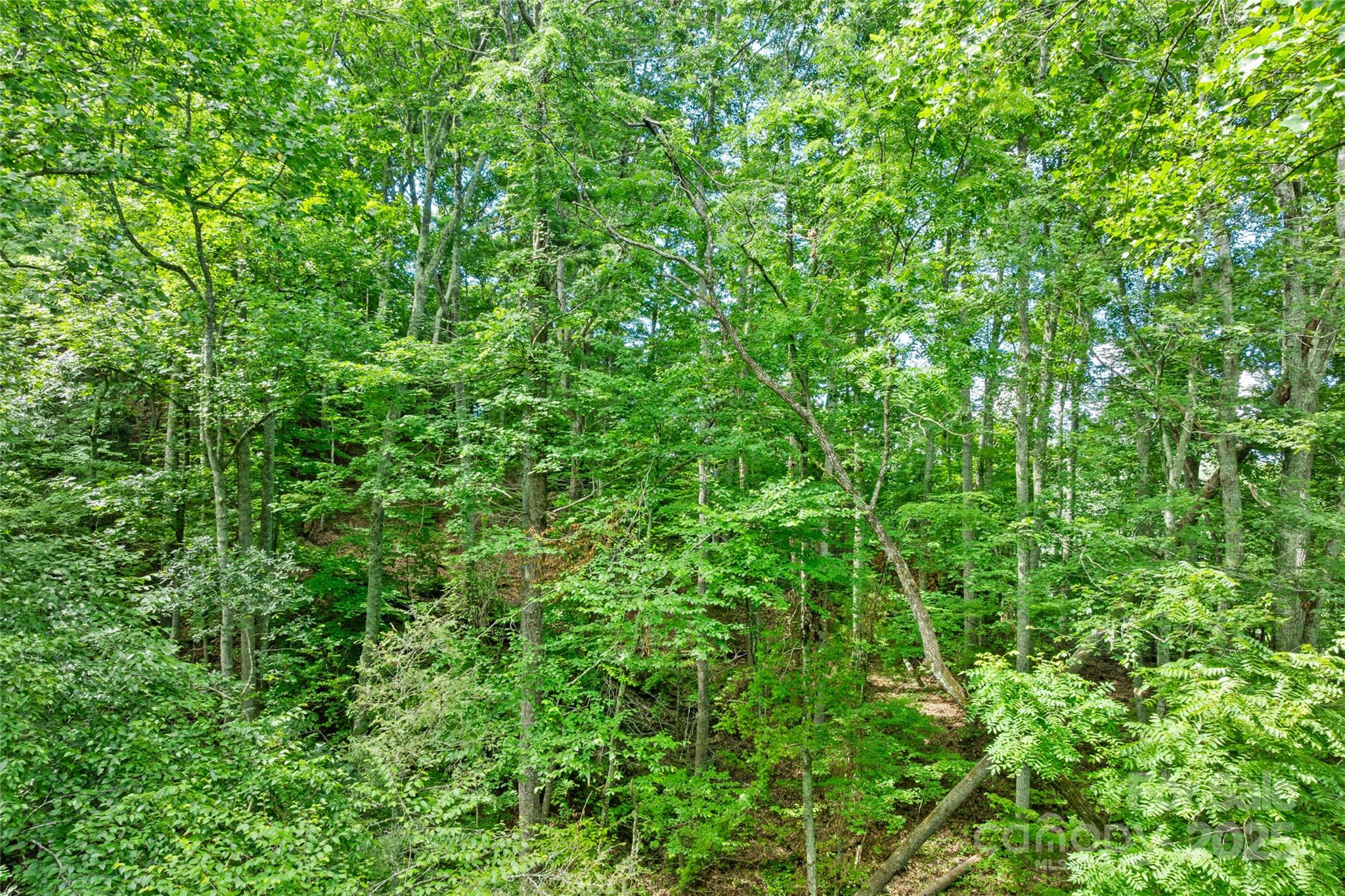 Bear River Lodge - Land