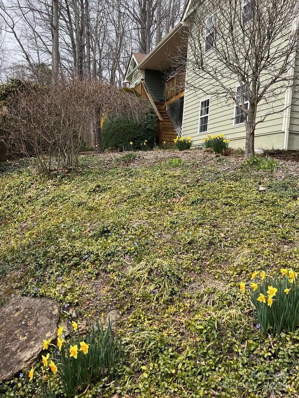 listing image 46