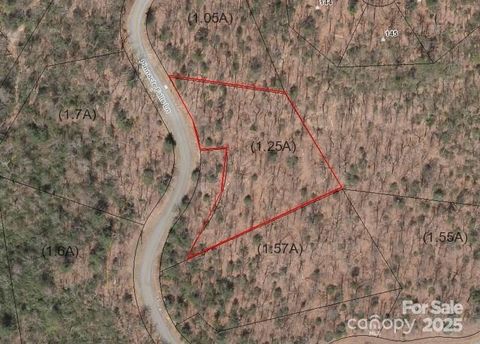 0 Pinnacle Falls Lane 23 Zirconia NC 28790