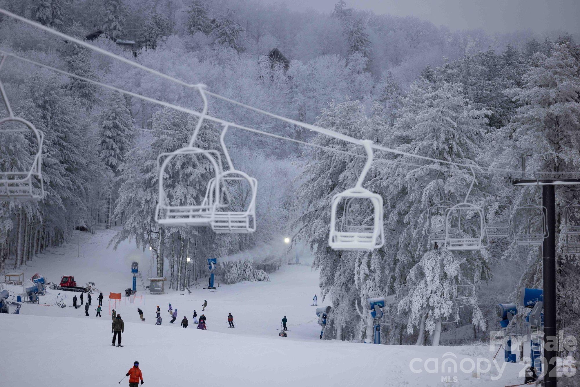 Wolf Laurel - Residential