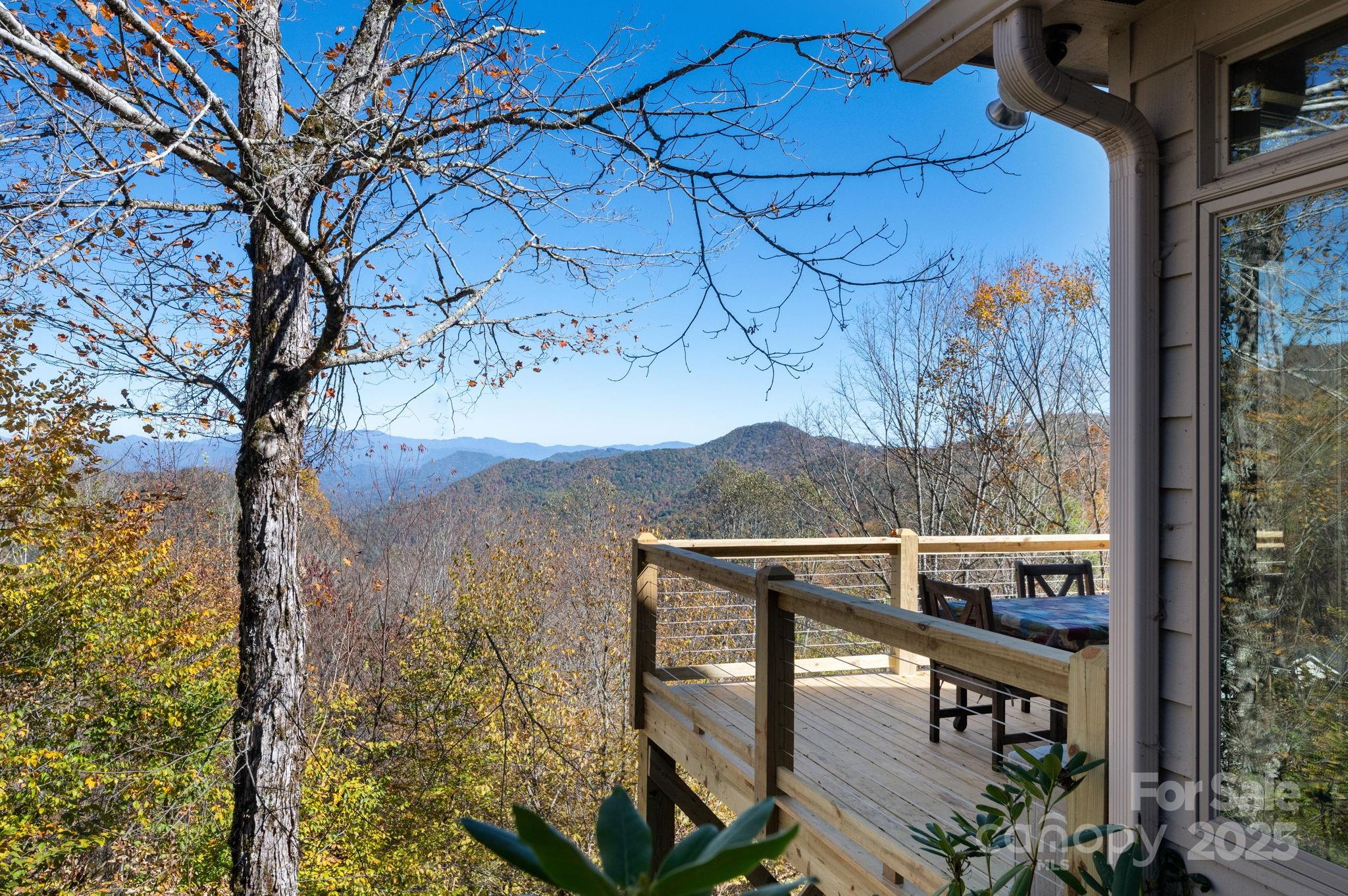 Wolf Laurel - Residential