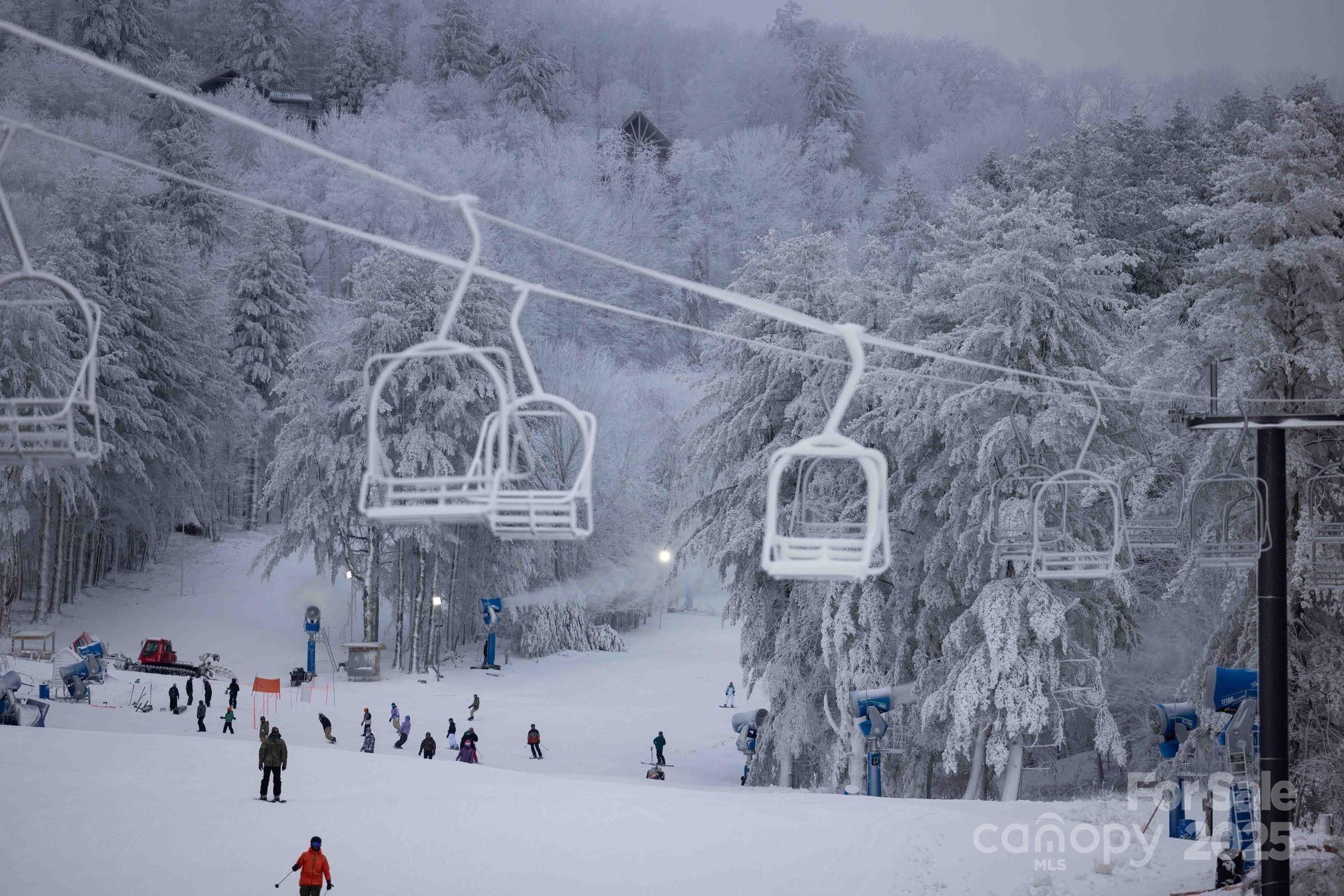 Wolf Laurel - Residential