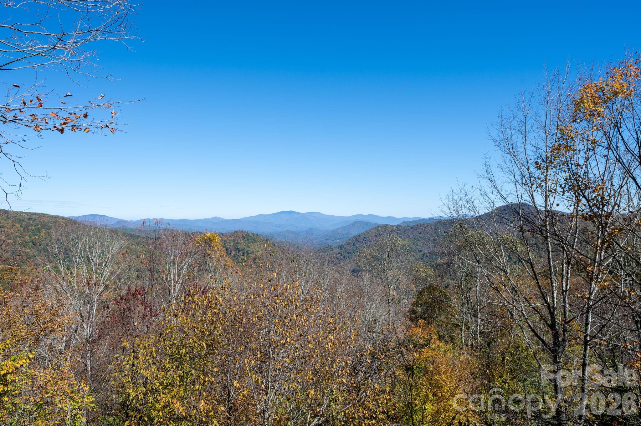 Wolf Laurel - Residential