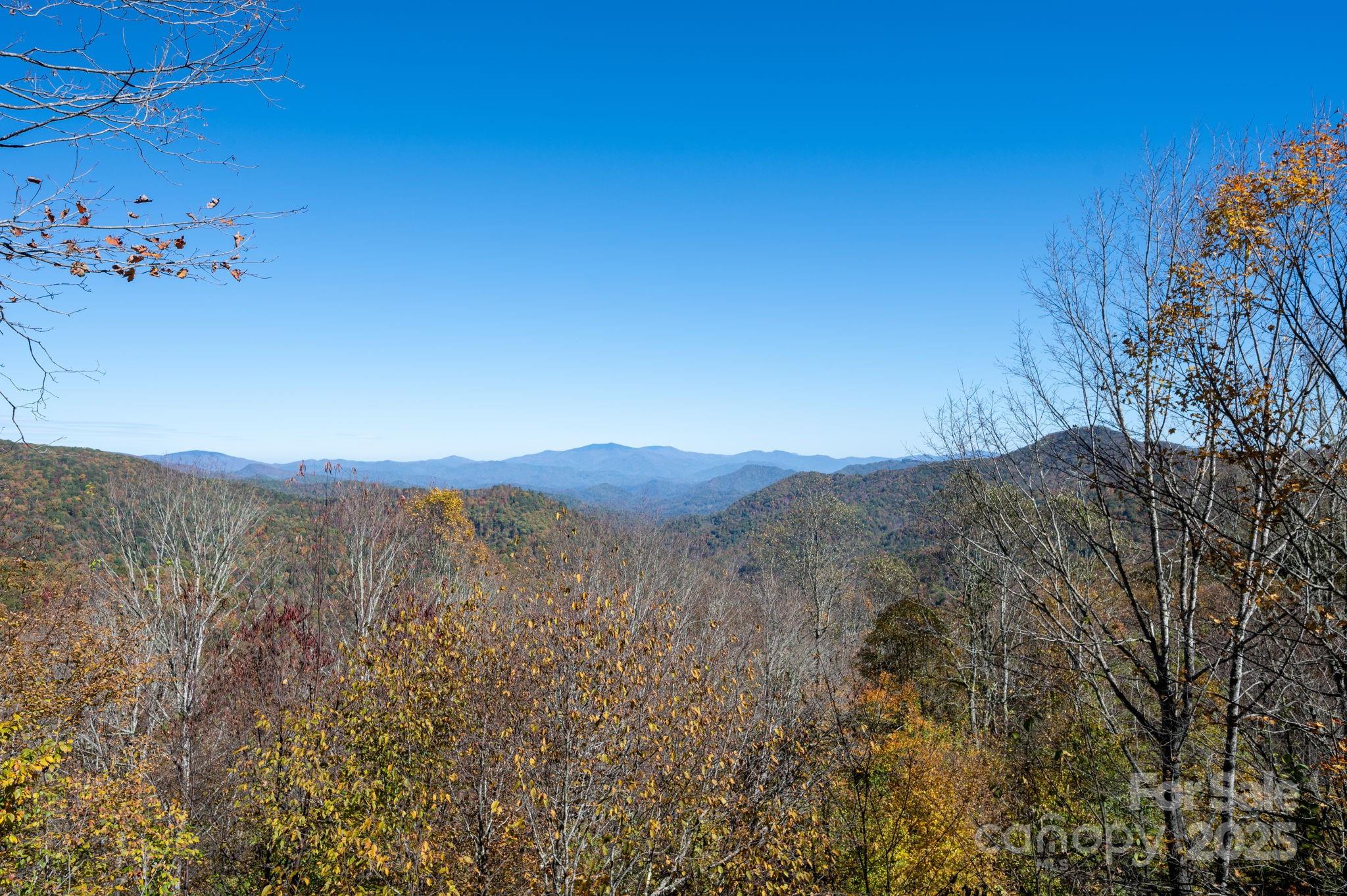 Wolf Laurel - Residential