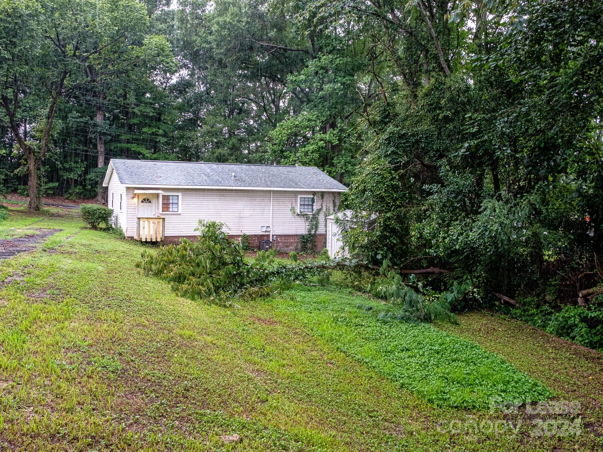 None - Residential Lease