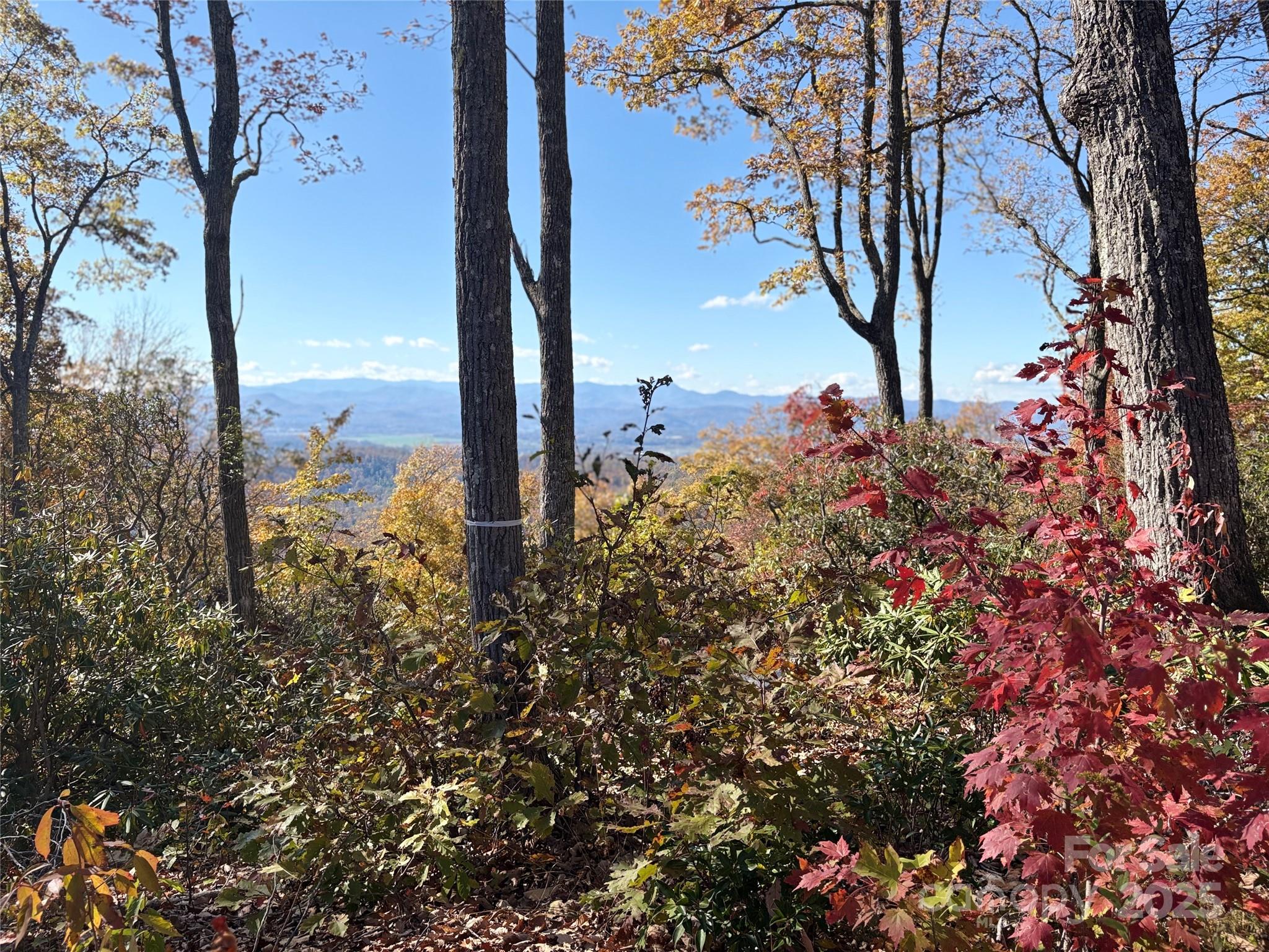 Lot 64 Feather Stone Drive