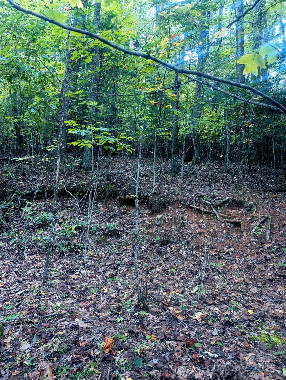 0 Luxury Lake None 5A/6A/7A