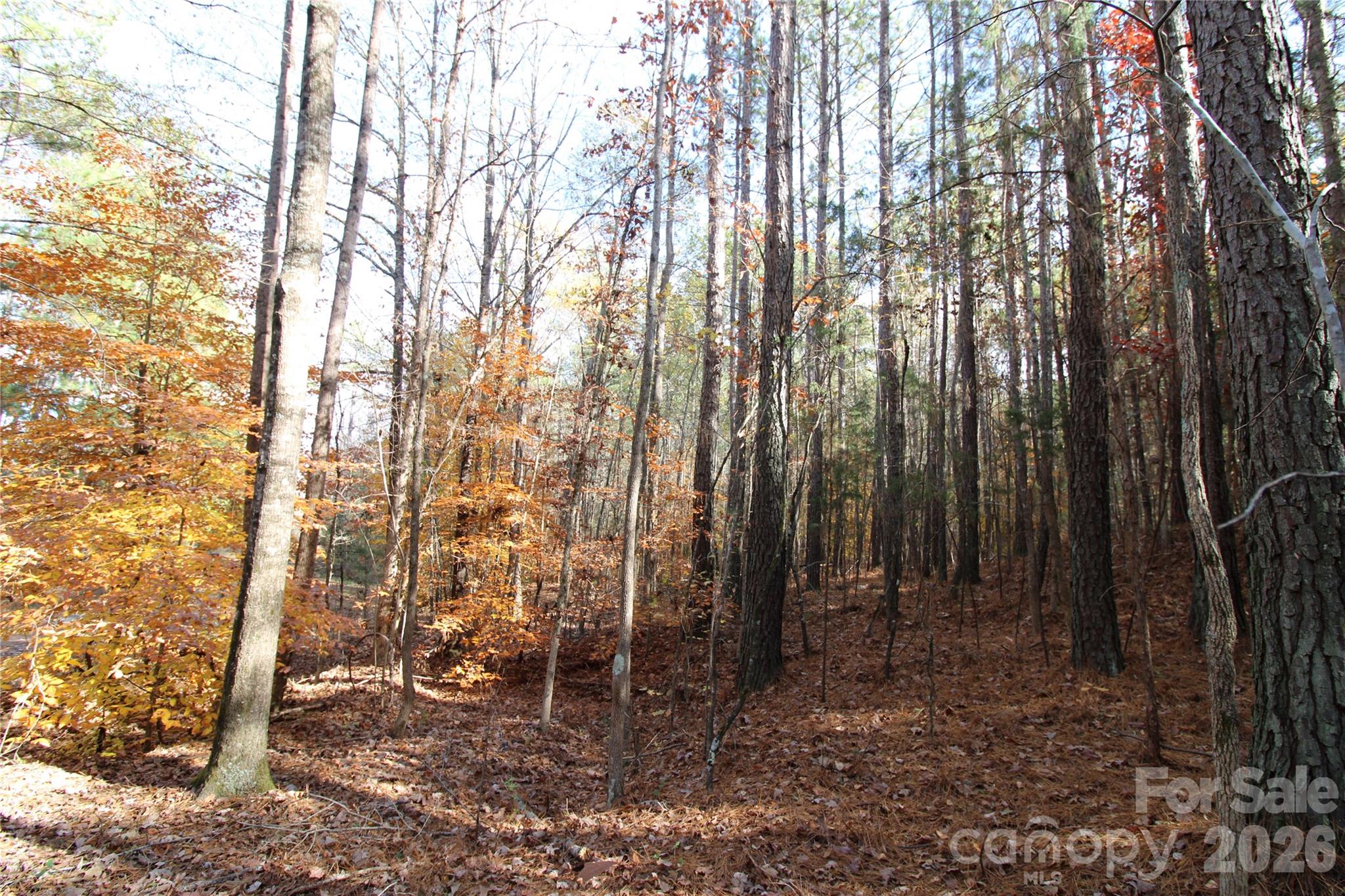 5 +/-AC Bookout Road