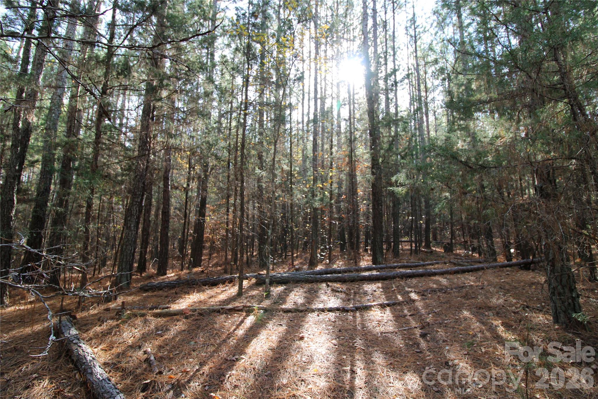 5 +/-AC Bookout Road