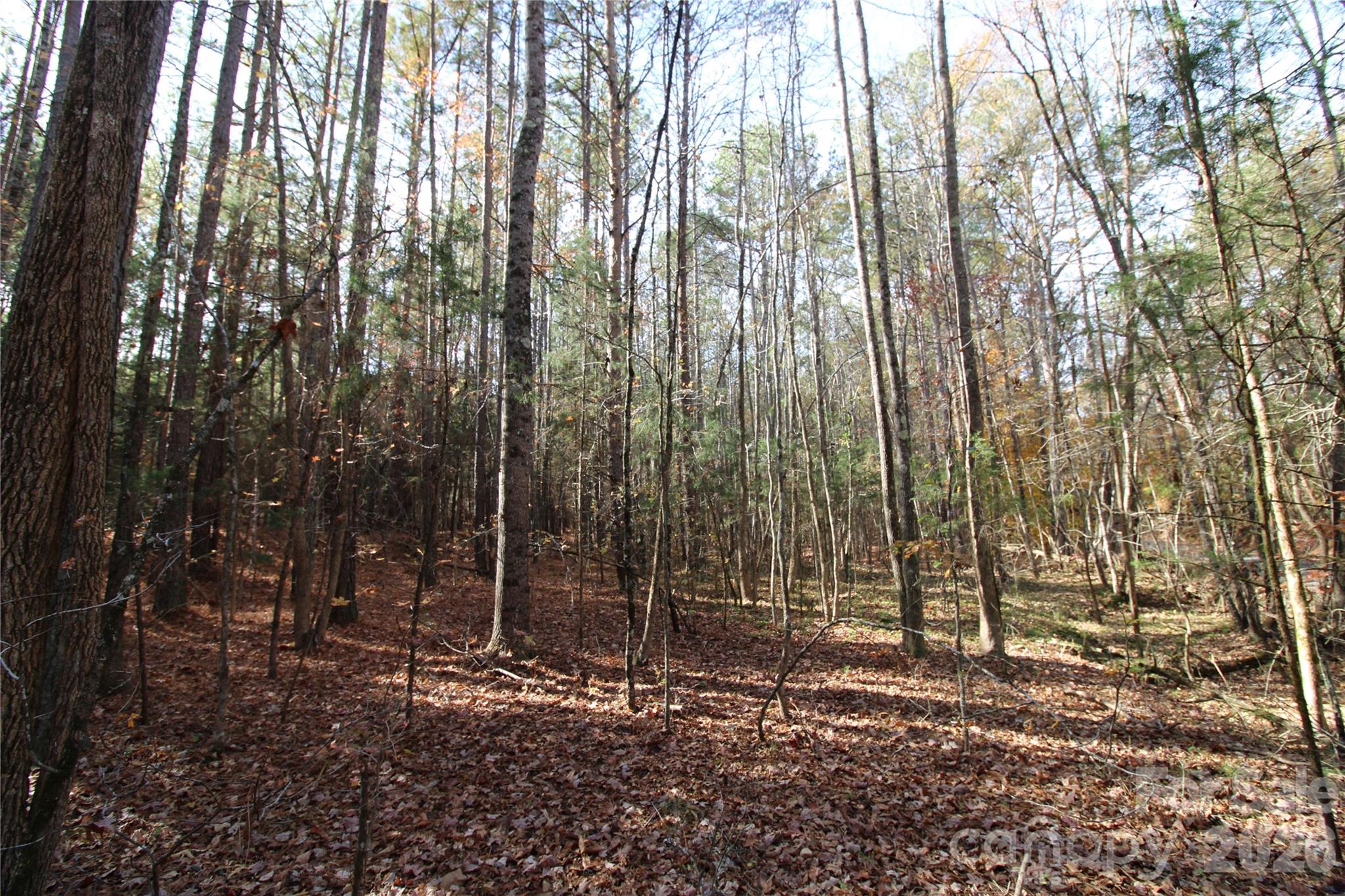 5 +/-AC Bookout Road