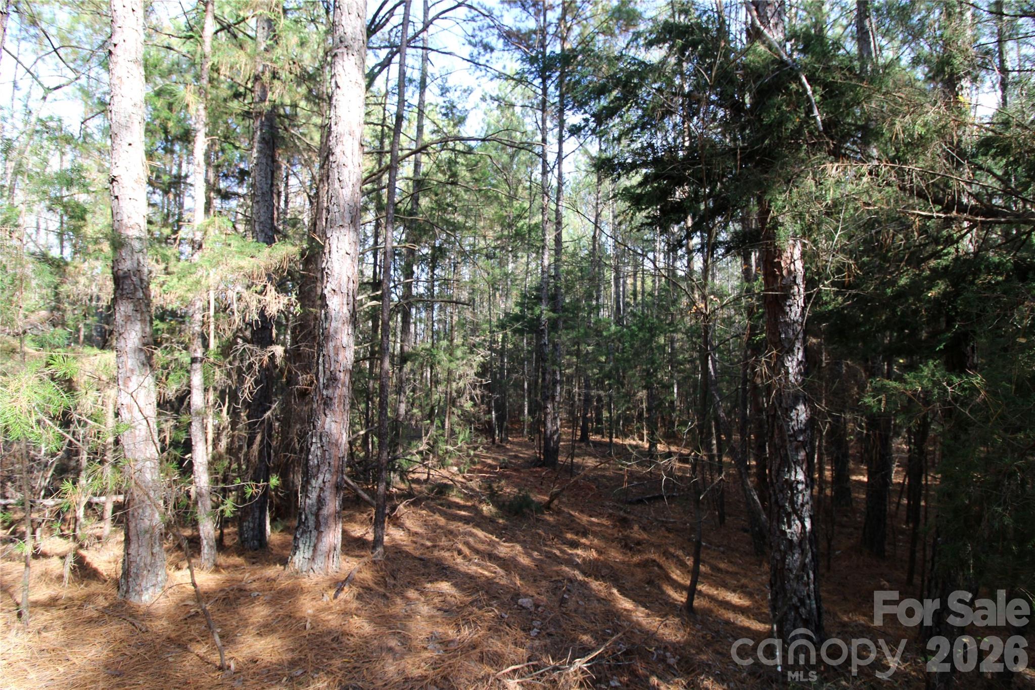 5 +/-AC Bookout Road