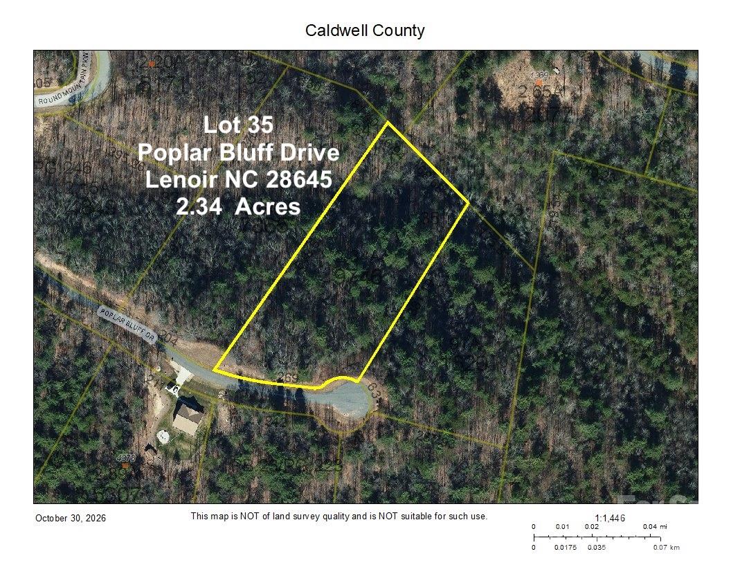 Lot 35, Poplar Bluff Drive 35