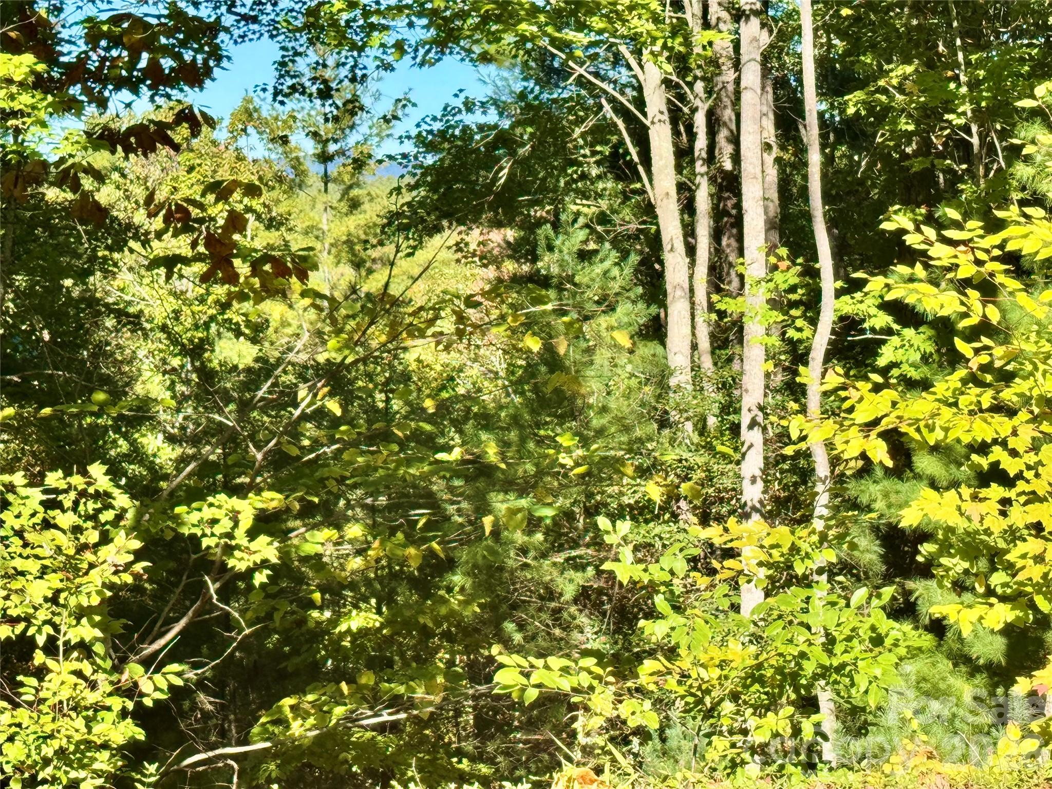 Lot 35, Poplar Bluff Drive 35
