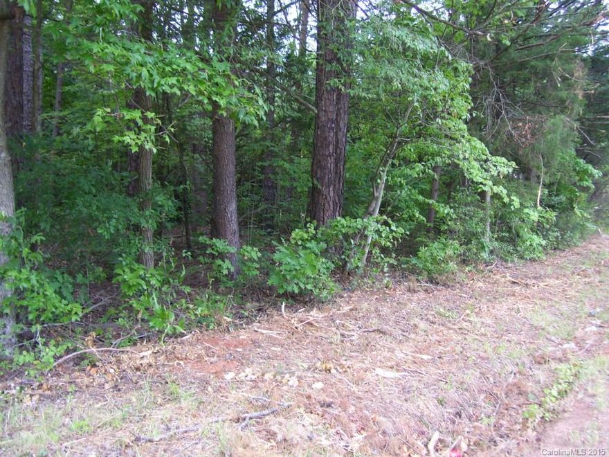 Beautiful wooded lot with frontage on Freeze Meadow Road and Stirewalt Road. Priced below tax value!