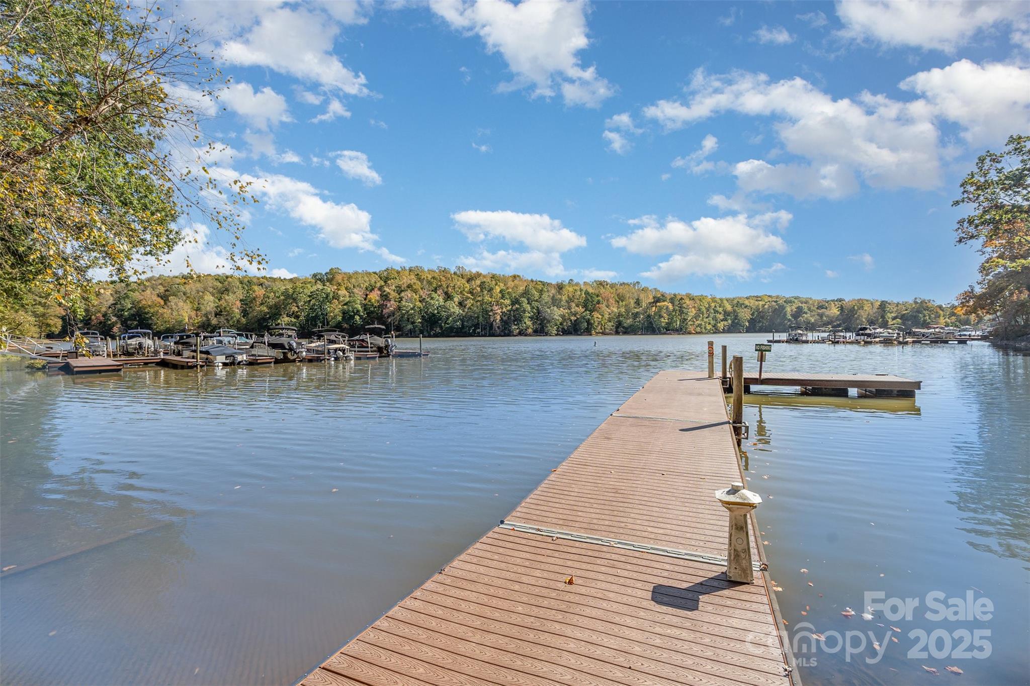 The Vineyards on Lake Wylie - Residential