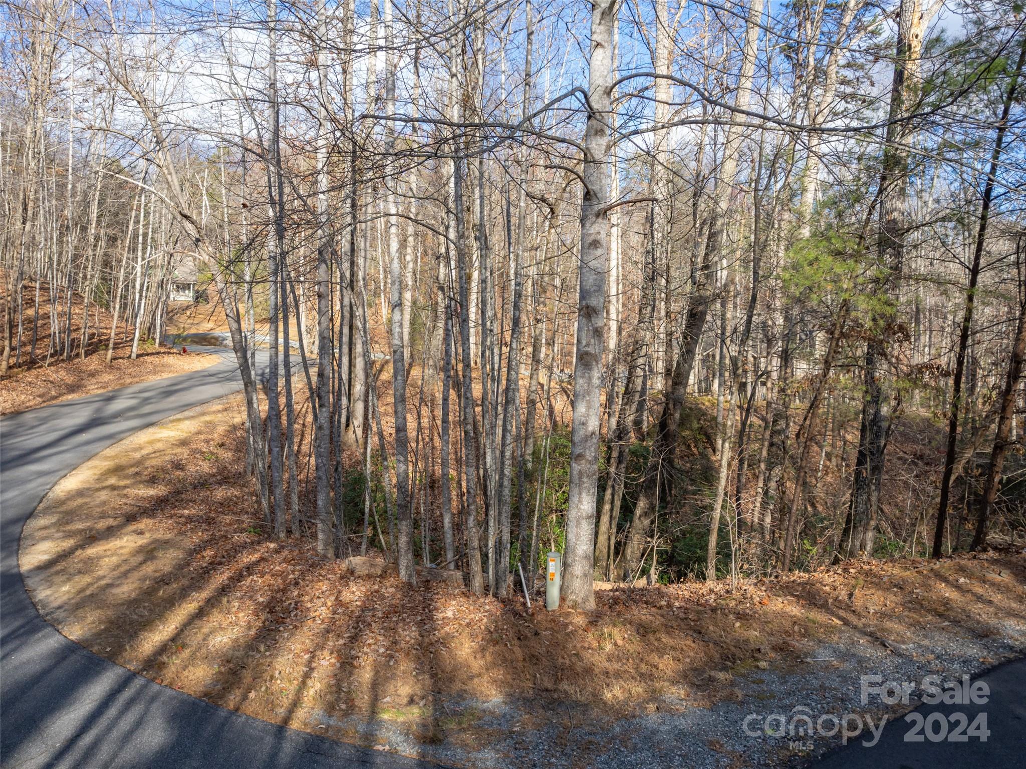 Rumbling Bald on Lake Lure - Land