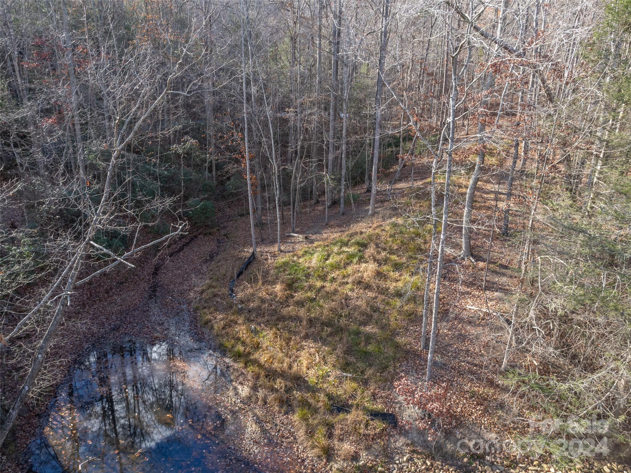 Rumbling Bald on Lake Lure - Land