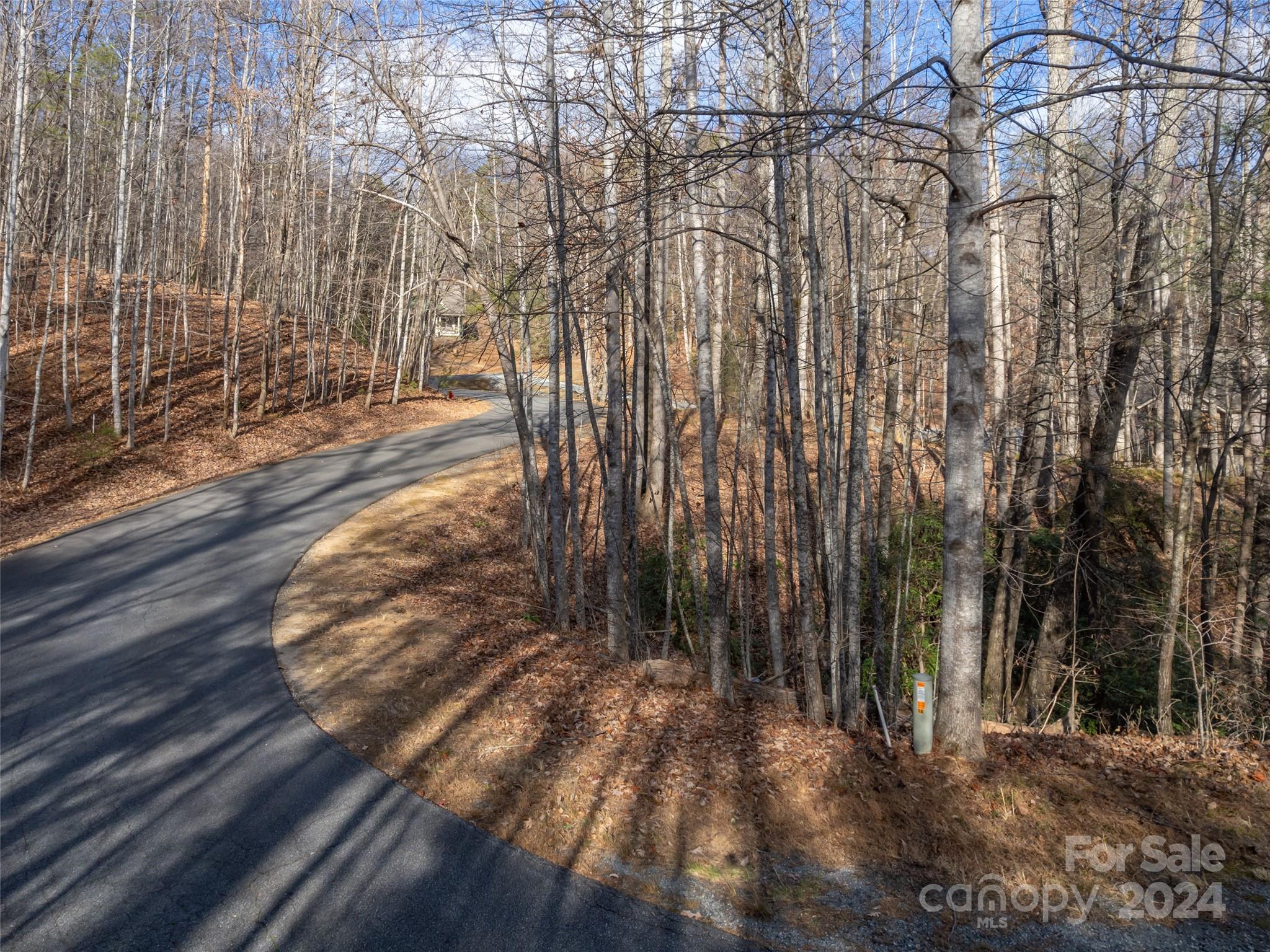 Rumbling Bald on Lake Lure - Land
