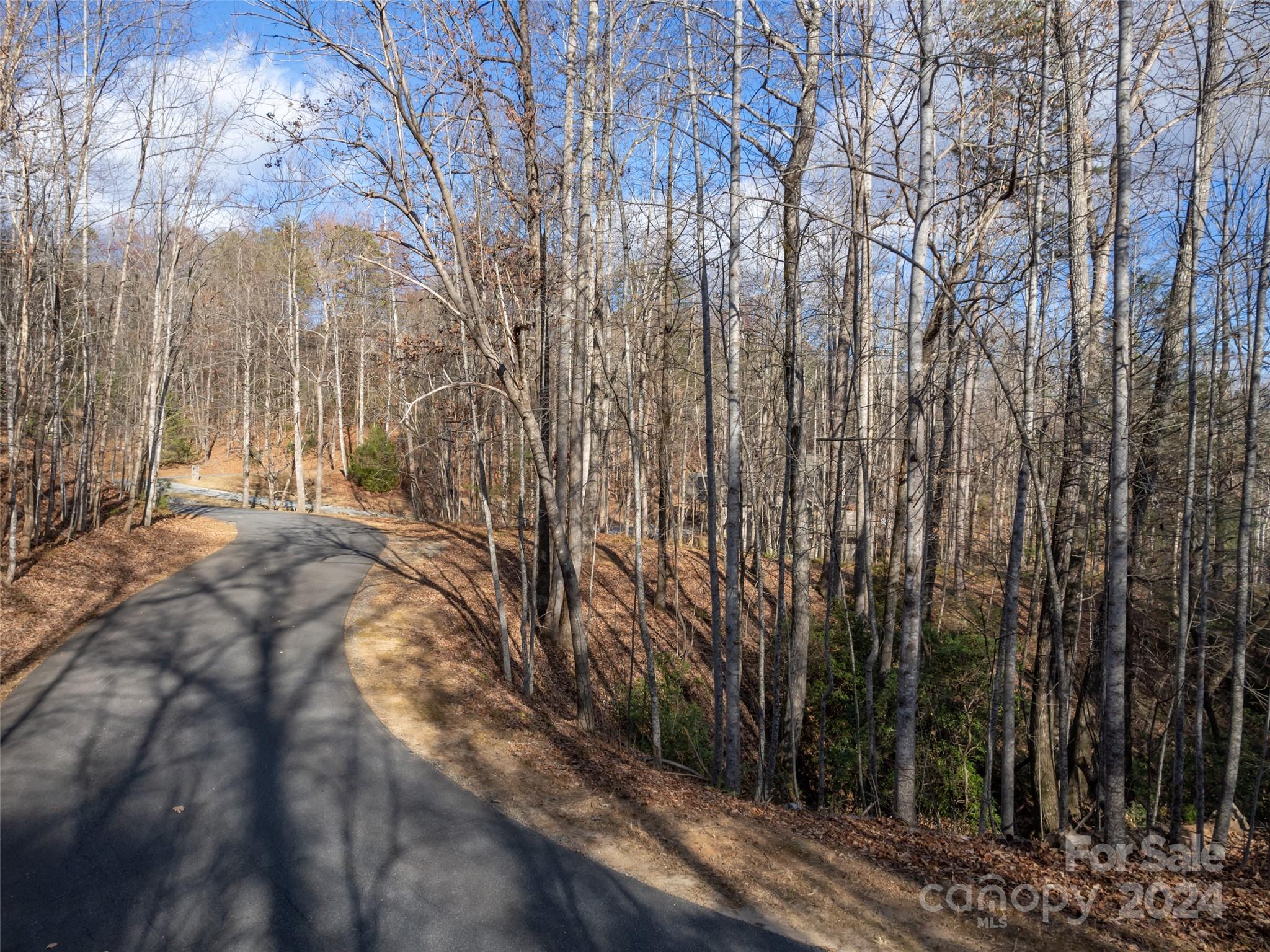 Rumbling Bald on Lake Lure - Land