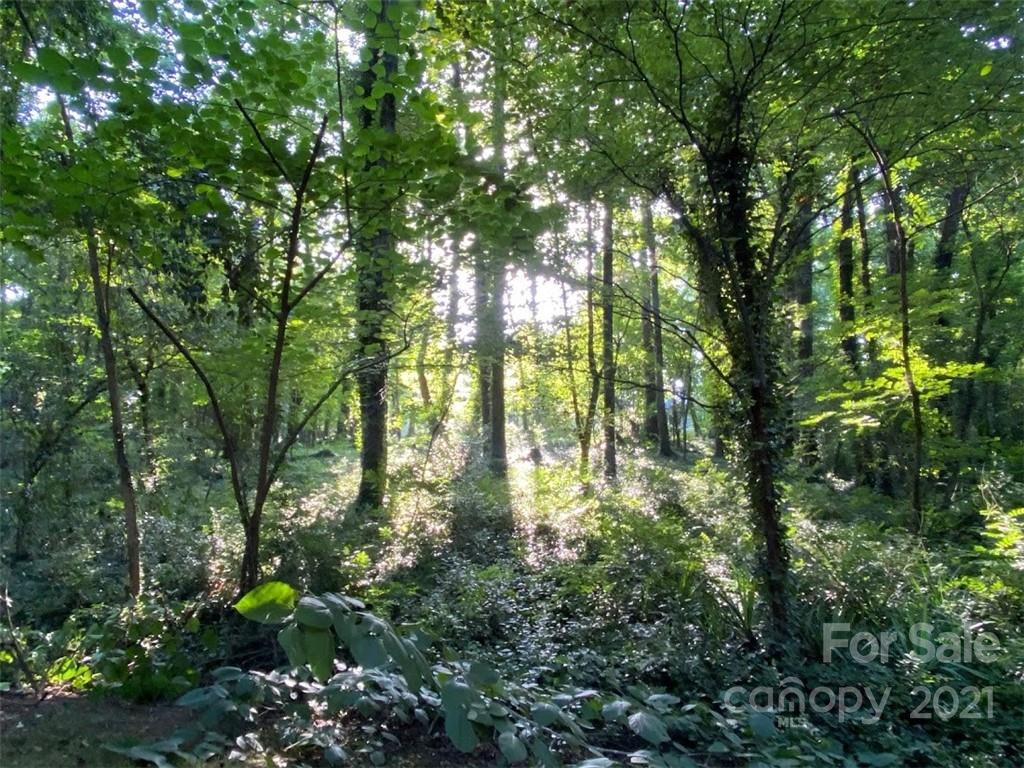 Wooded Acres - Residential