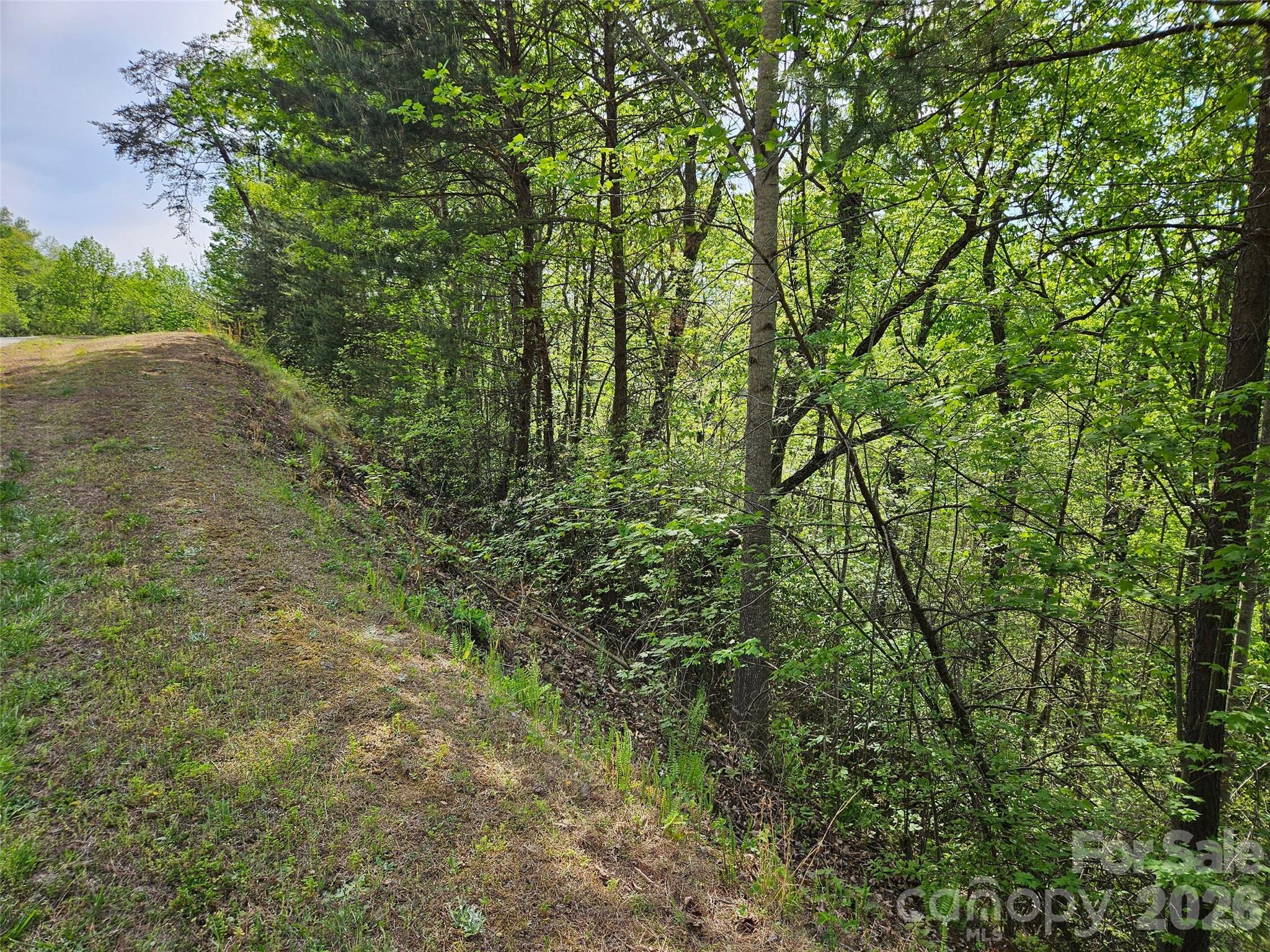 0 High Pines Loop 101