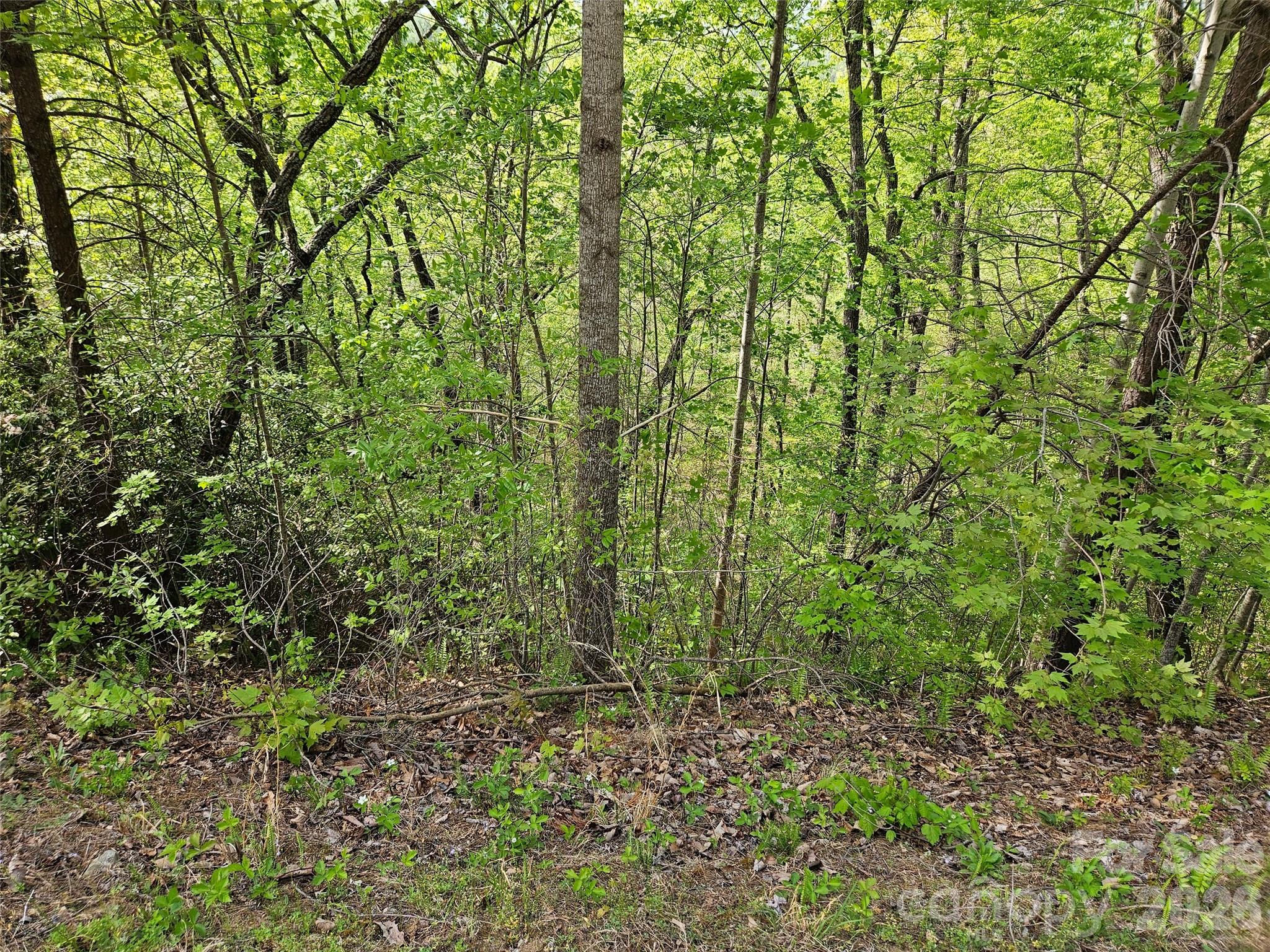 0 High Pines Loop 101