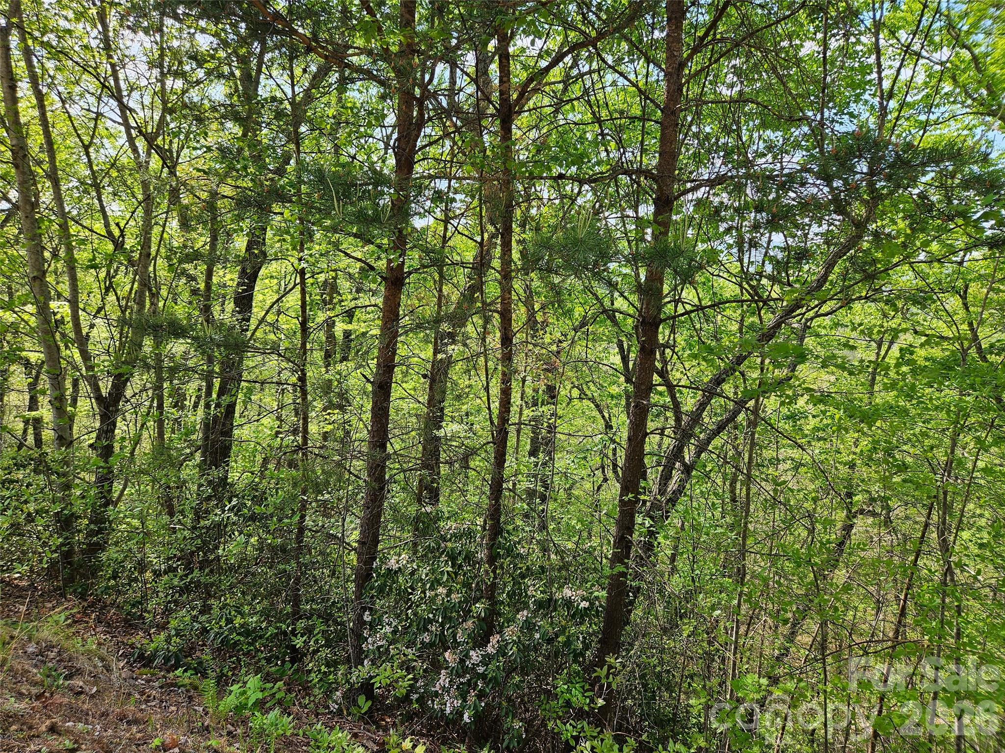 Vista At Bills Mountain - Land