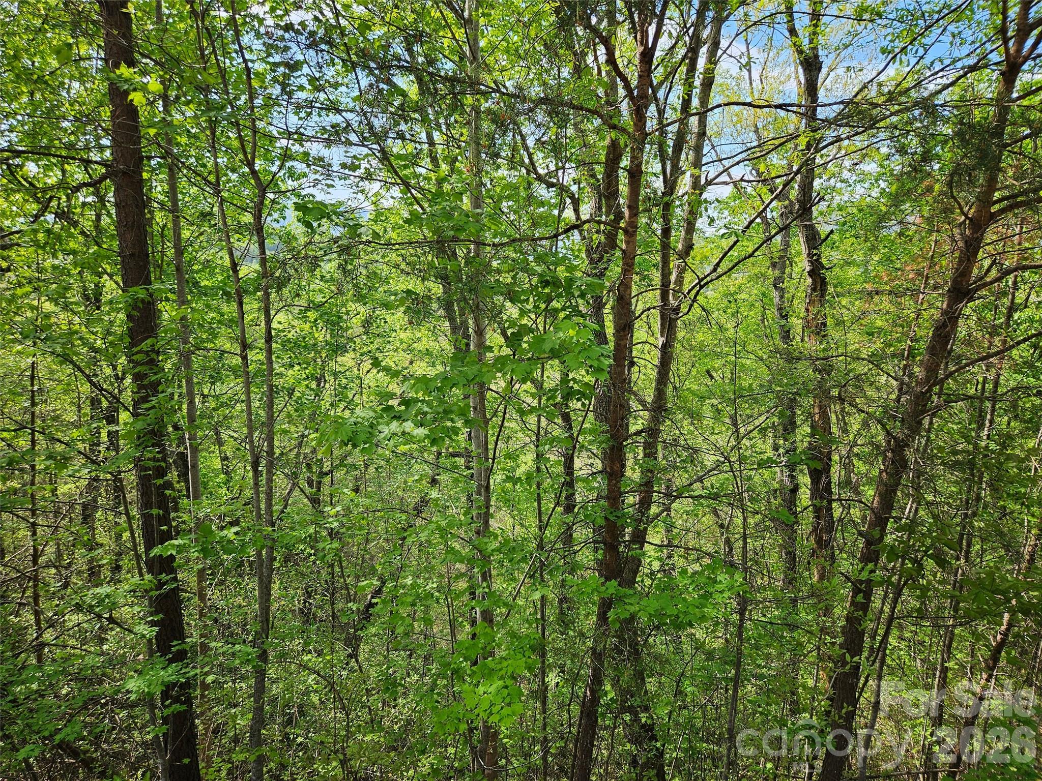 Vista At Bills Mountain - Land