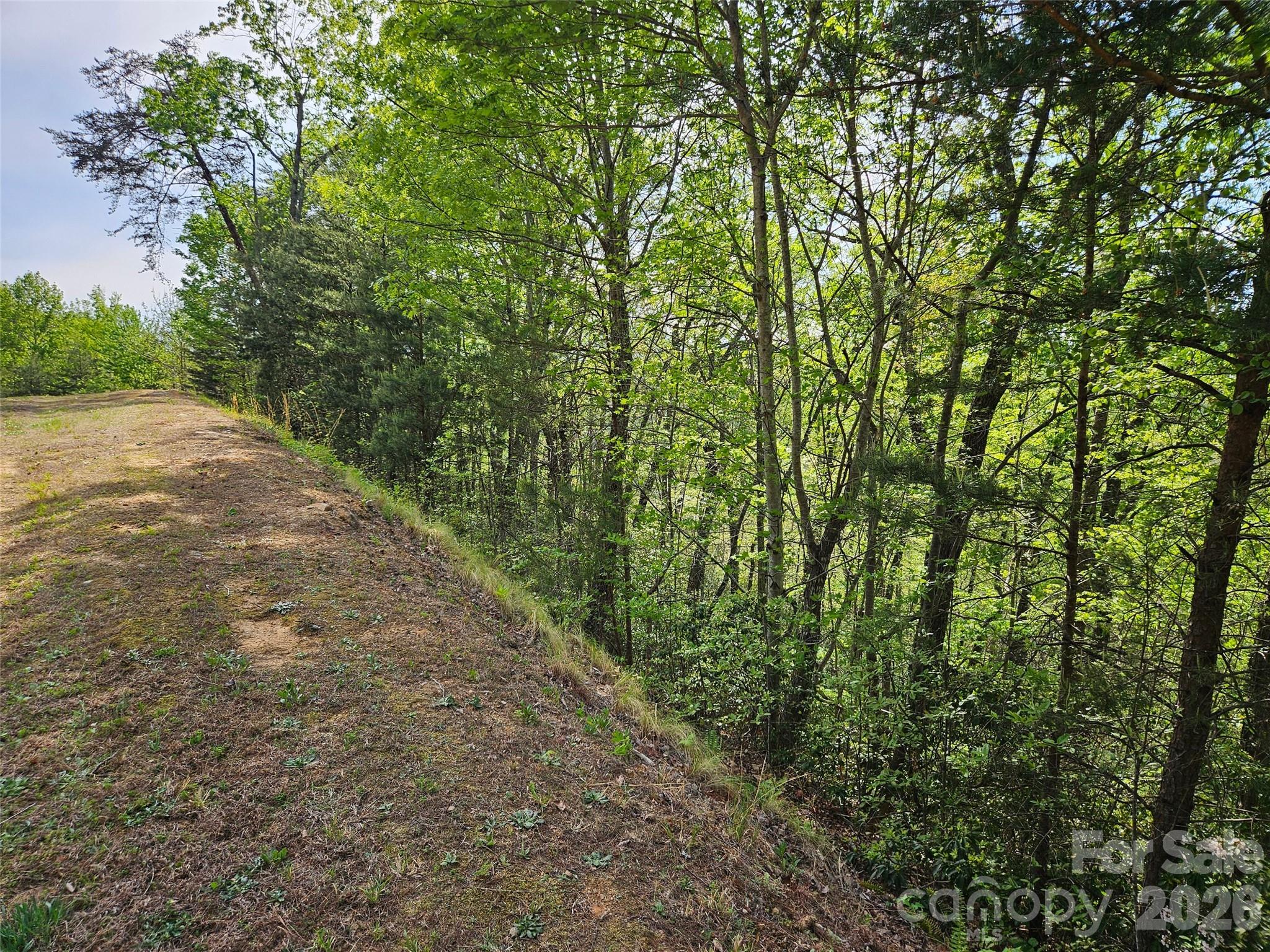 Vista At Bills Mountain - Land