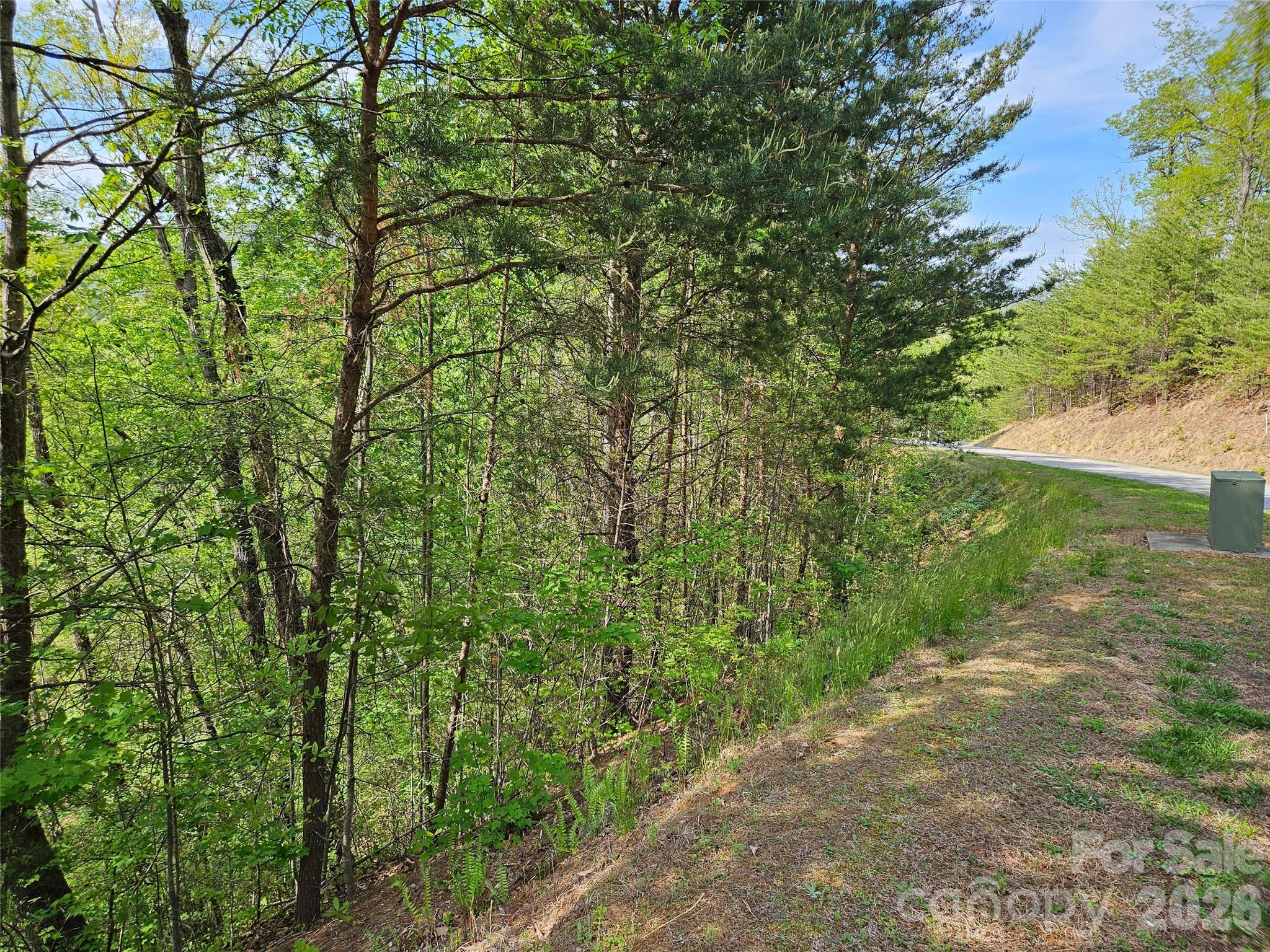 0 High Pines Loop 101