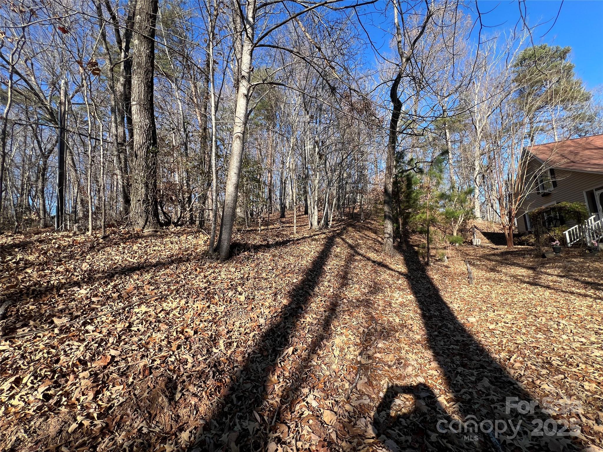 430 Laurel Heights Lane