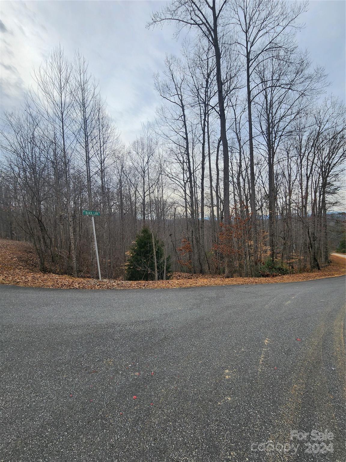 Forest Heights - Land