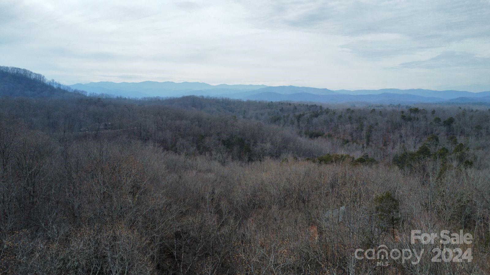 Lot #73 Black Lark Drive