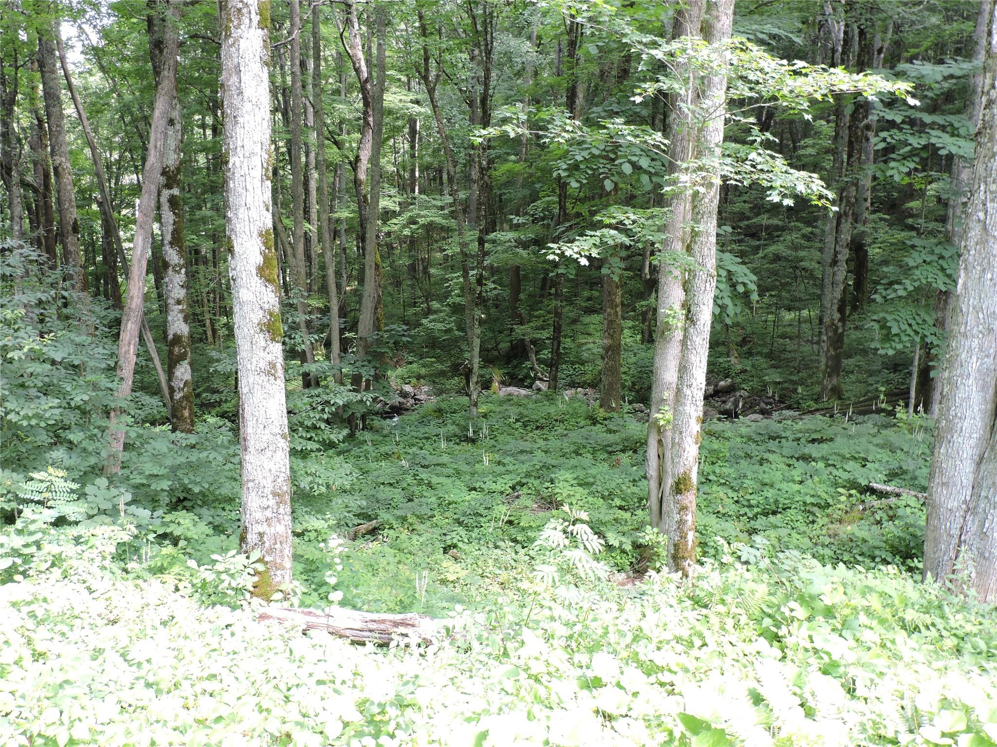 Amber Ranches - Residential