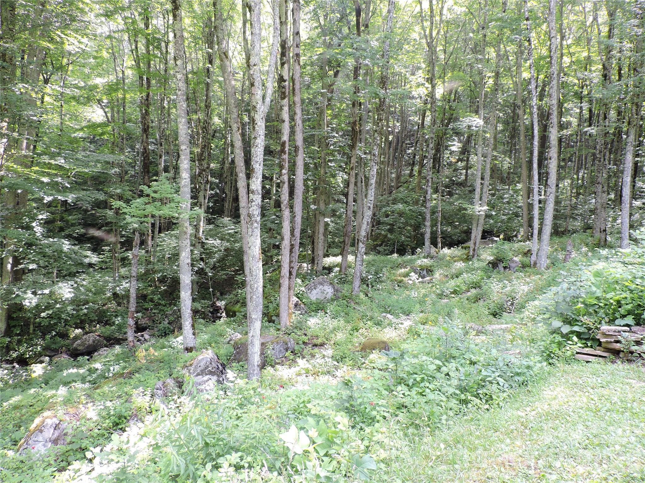 Amber Ranches - Residential