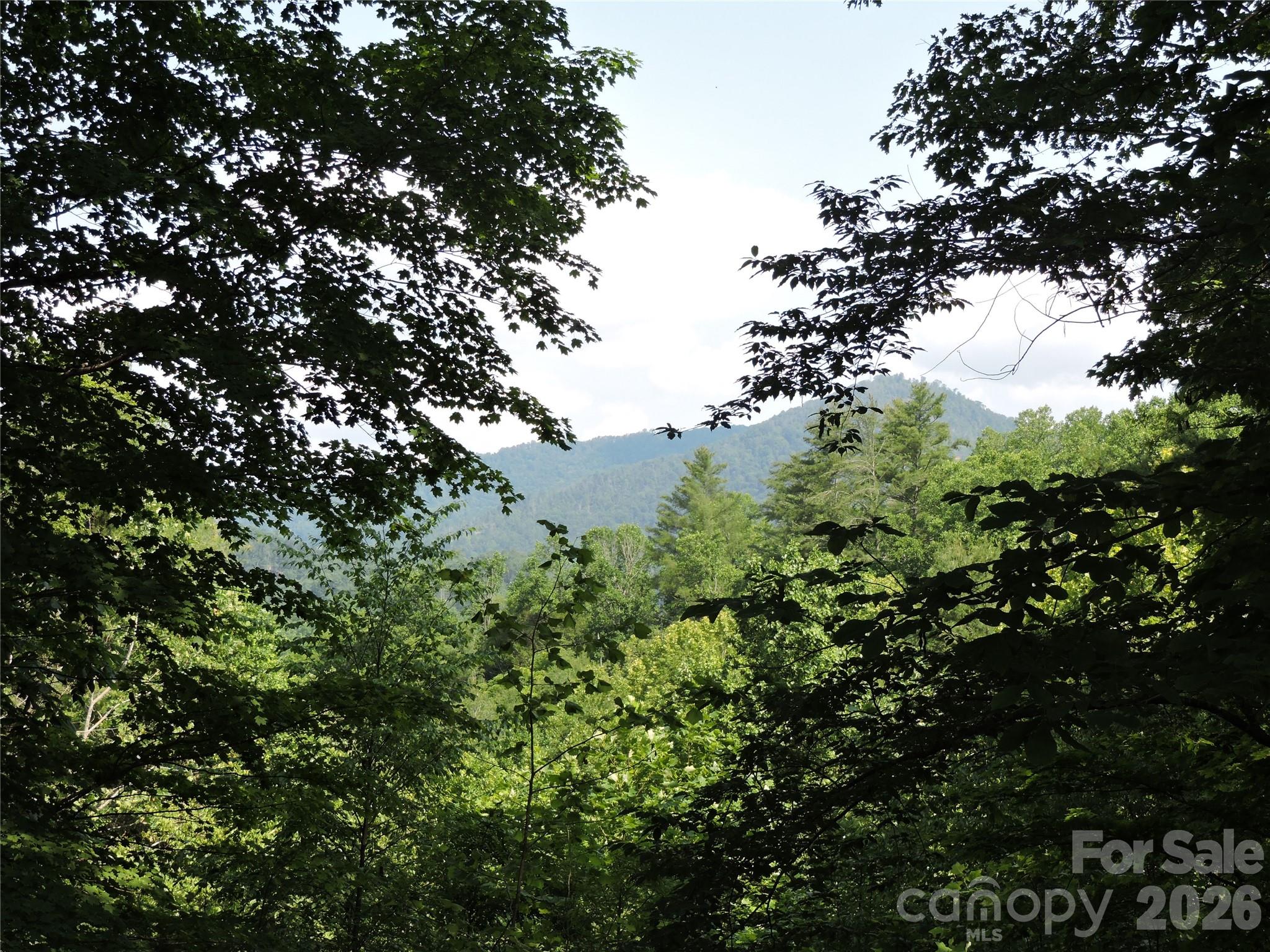 Amber Ranches - Residential