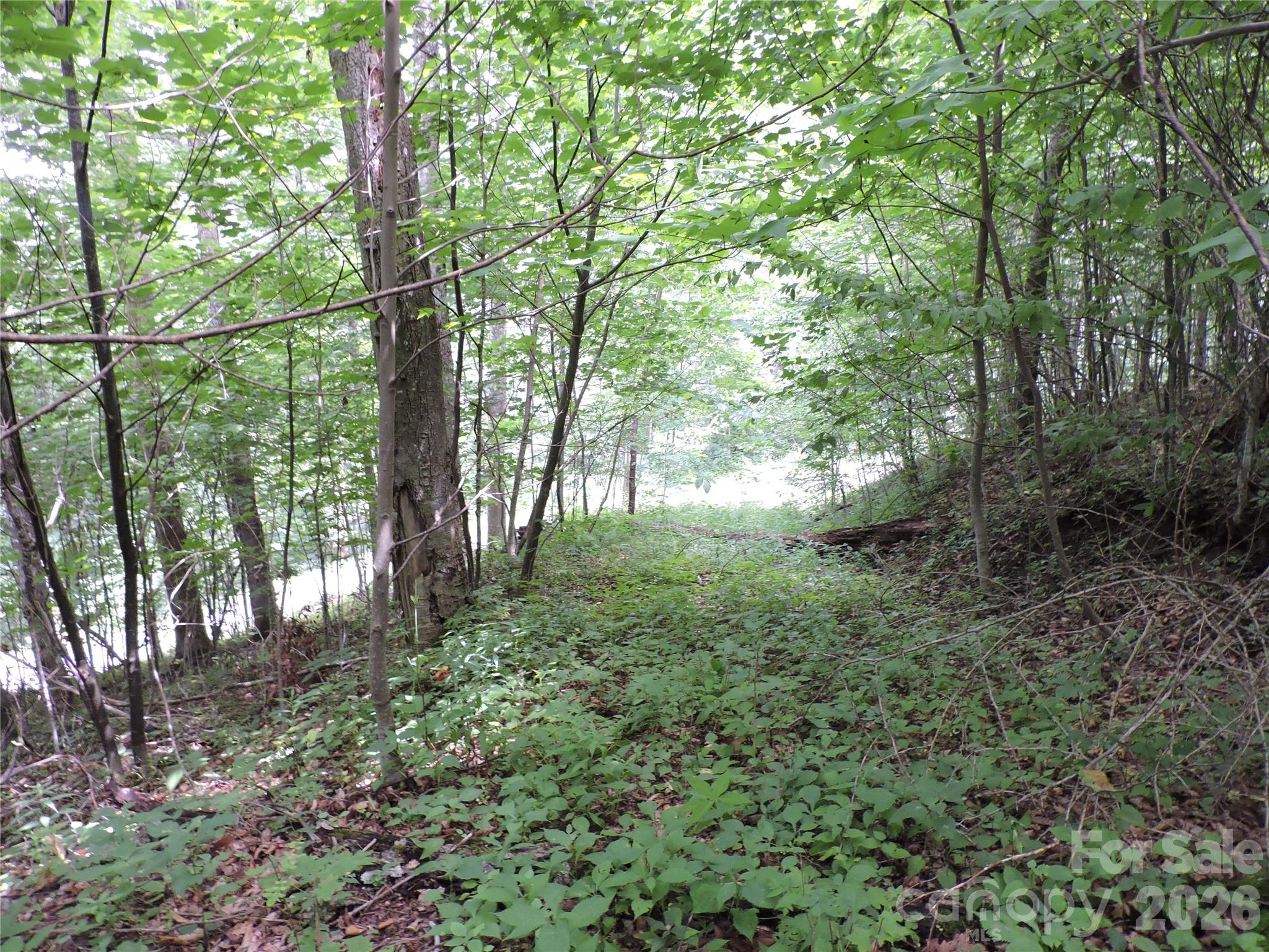 Amber Ranches - Residential