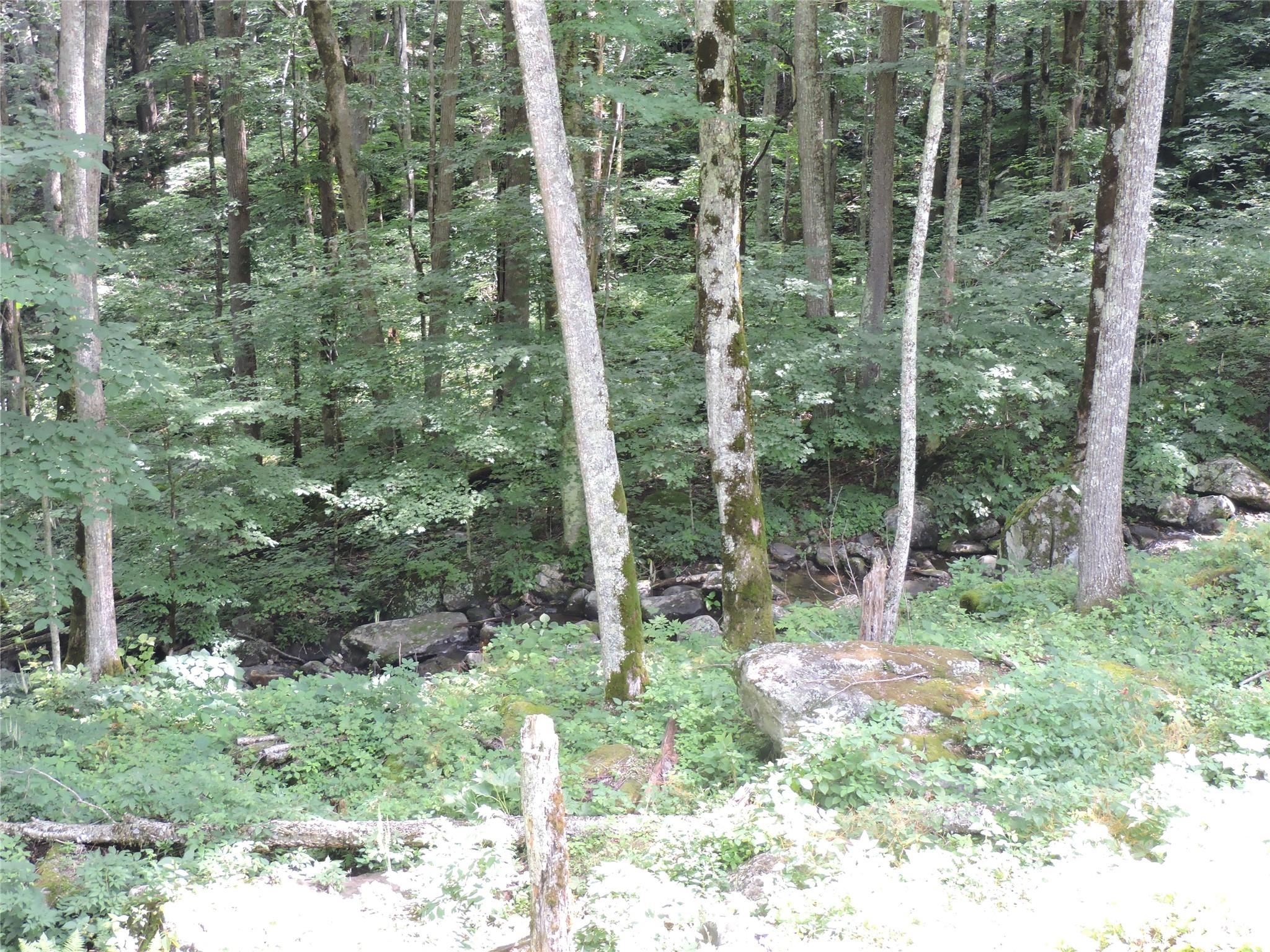 Amber Ranches - Residential